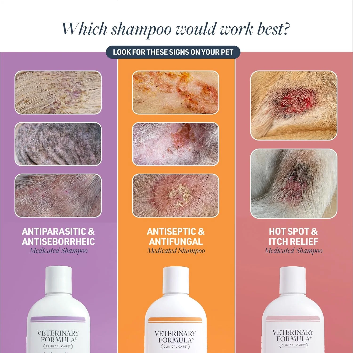 Veterinary Formula Clinical Care Antiseptic and Antifungal Medicated Shampoo for Dogs & Cats – Helps Alleviate Scaly, Greasy, red Skin – Paraben, Dye, Soap-Free (1 Pack) - Image 3