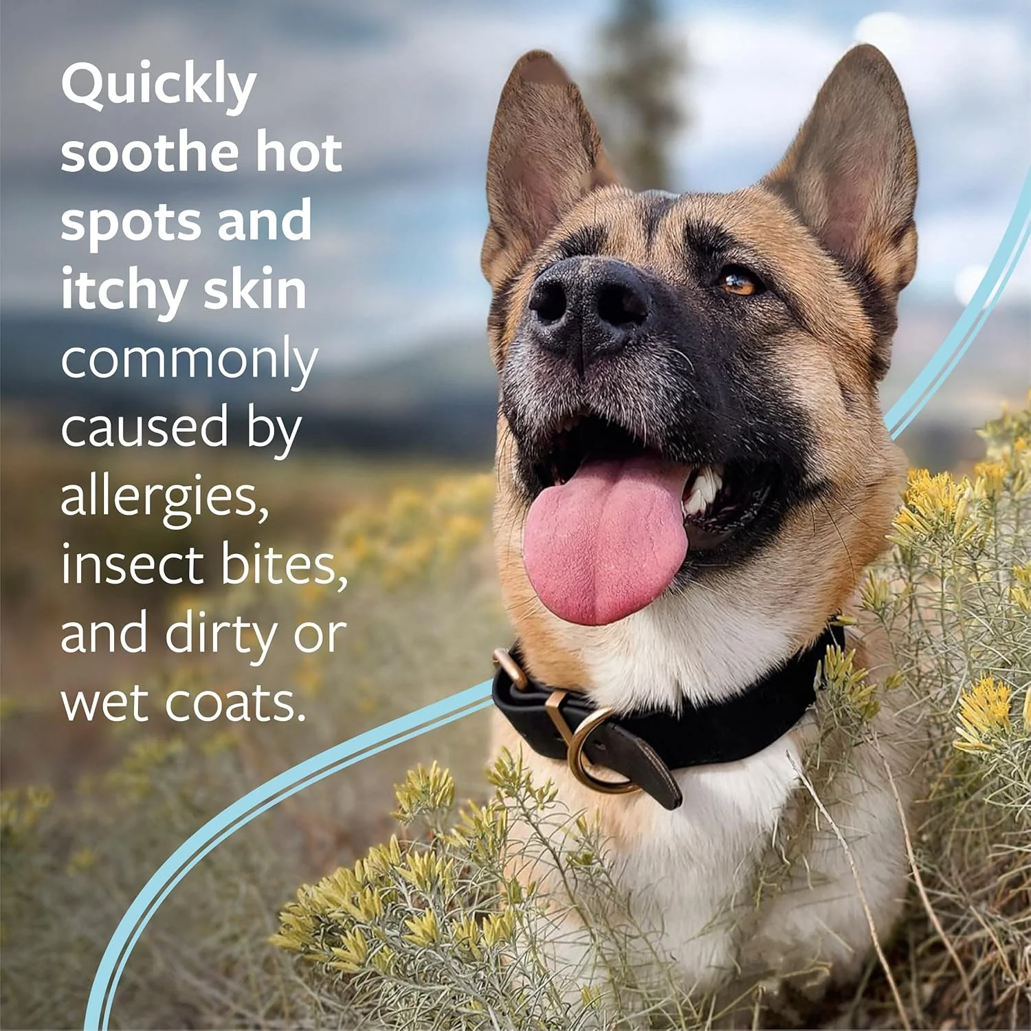 Veterinary Formula Clinical Care Hot Spot & Itch Relief Medicated Spray – Easy to Use Spray for Dogs & Cats – Helps Alleviate Sensitive Skin, Scratching, and Licking of Coat (1 Pack) - Image 2