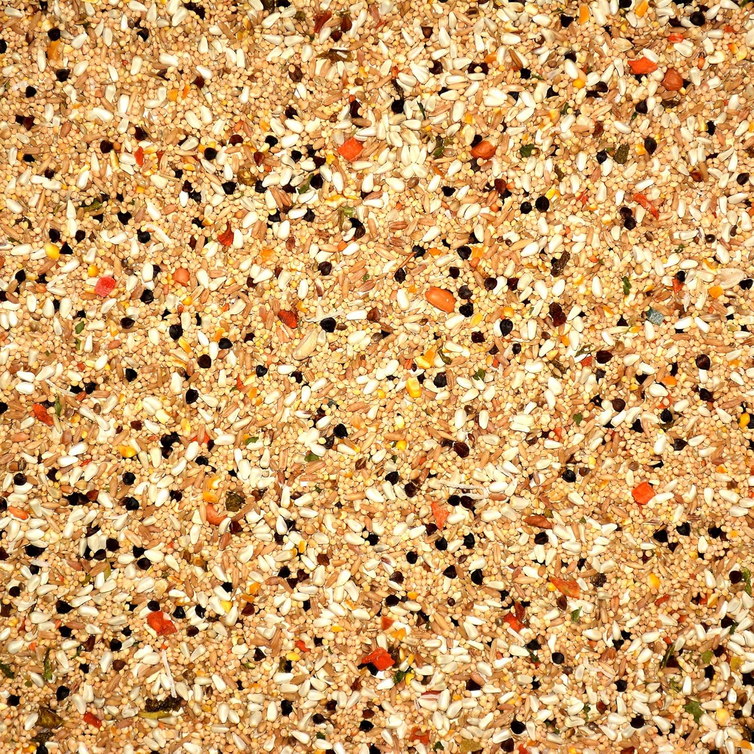 Volkman Avian Science Super Cockatiel No Sunflower Bird Food 4 lb - Image 2