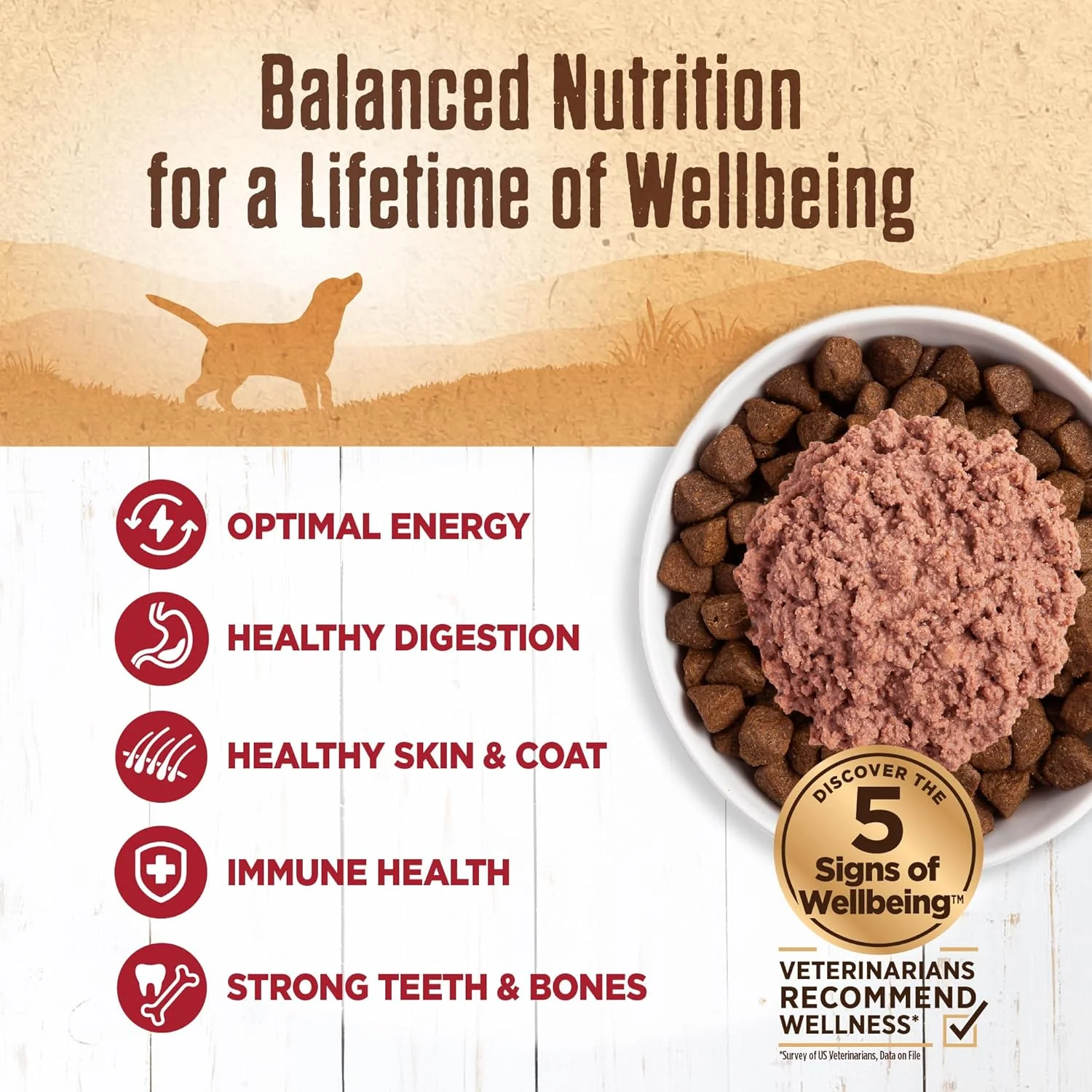Wellness 95% Beef Natural Wet Grain Free Canned Dog Food - Image 3