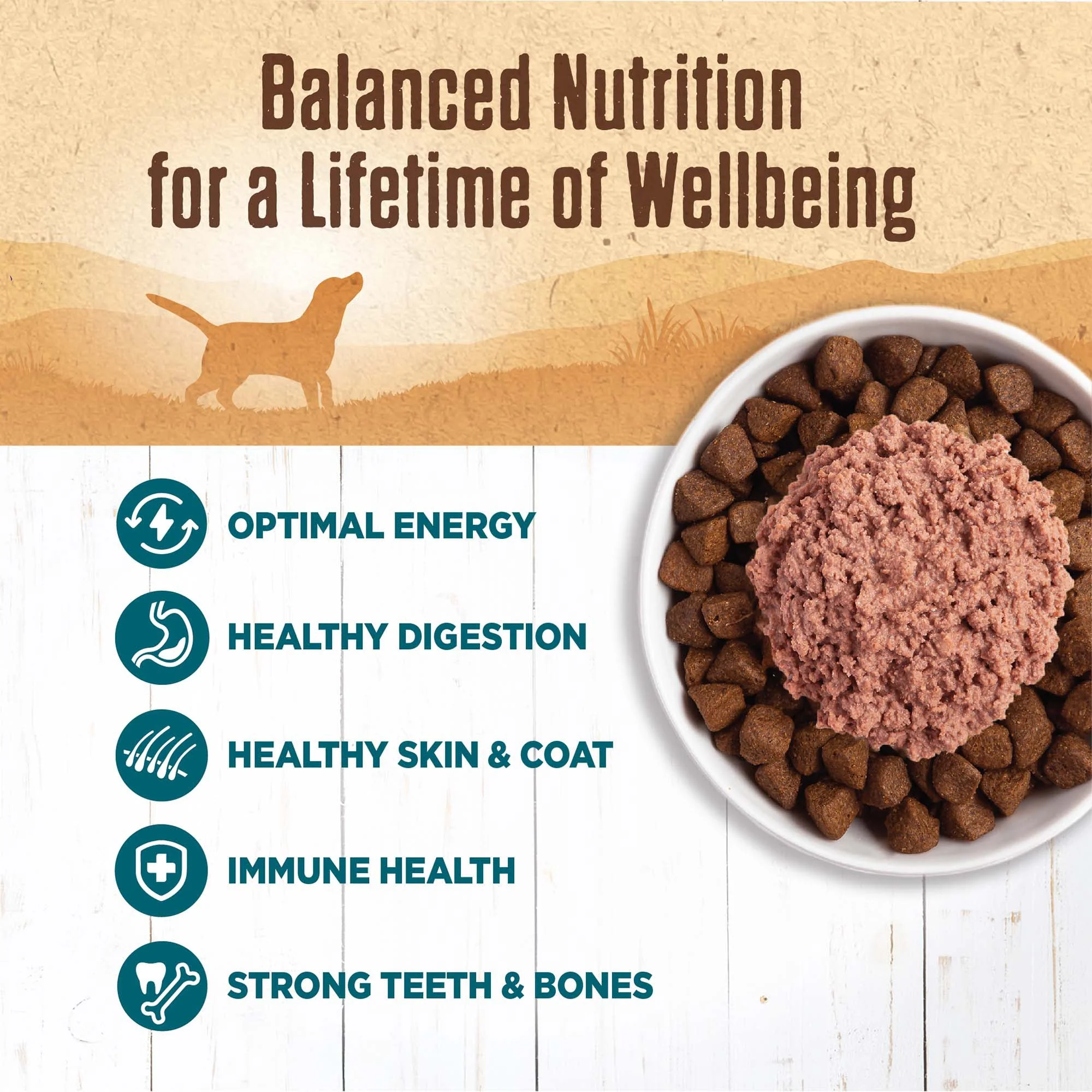 Wellness 95% Whitefish Natural Wet Grain Free Canned Dog Food - Image 5