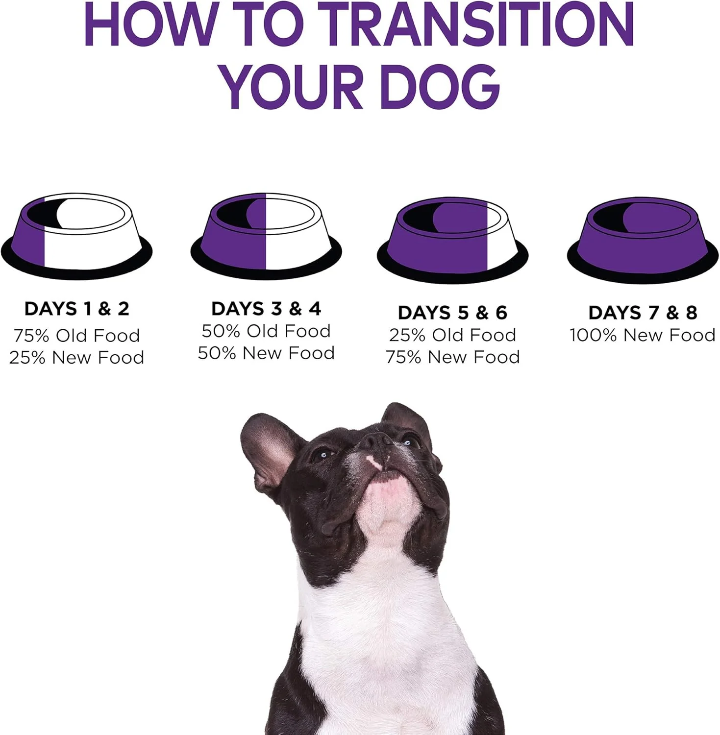 Wellness Complete Health Dry Dog Food for Small Dogs, Toy Breed, Wholesome Grains, Natural, Chicken, Brown Rice, & Peas Recipe - Image 10
