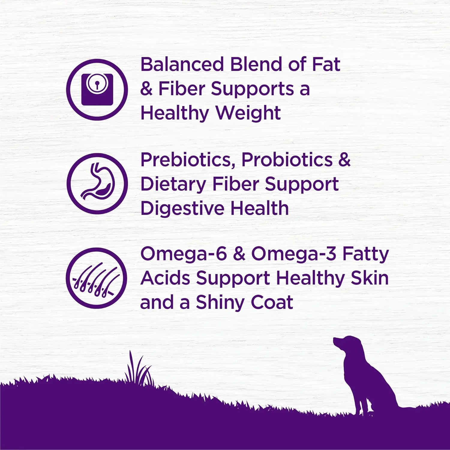 Wellness Complete Health Dry Dog Food, Wholesome Grains, Natural, Healthy Weight Chicken & Peas Recipe - Image 3
