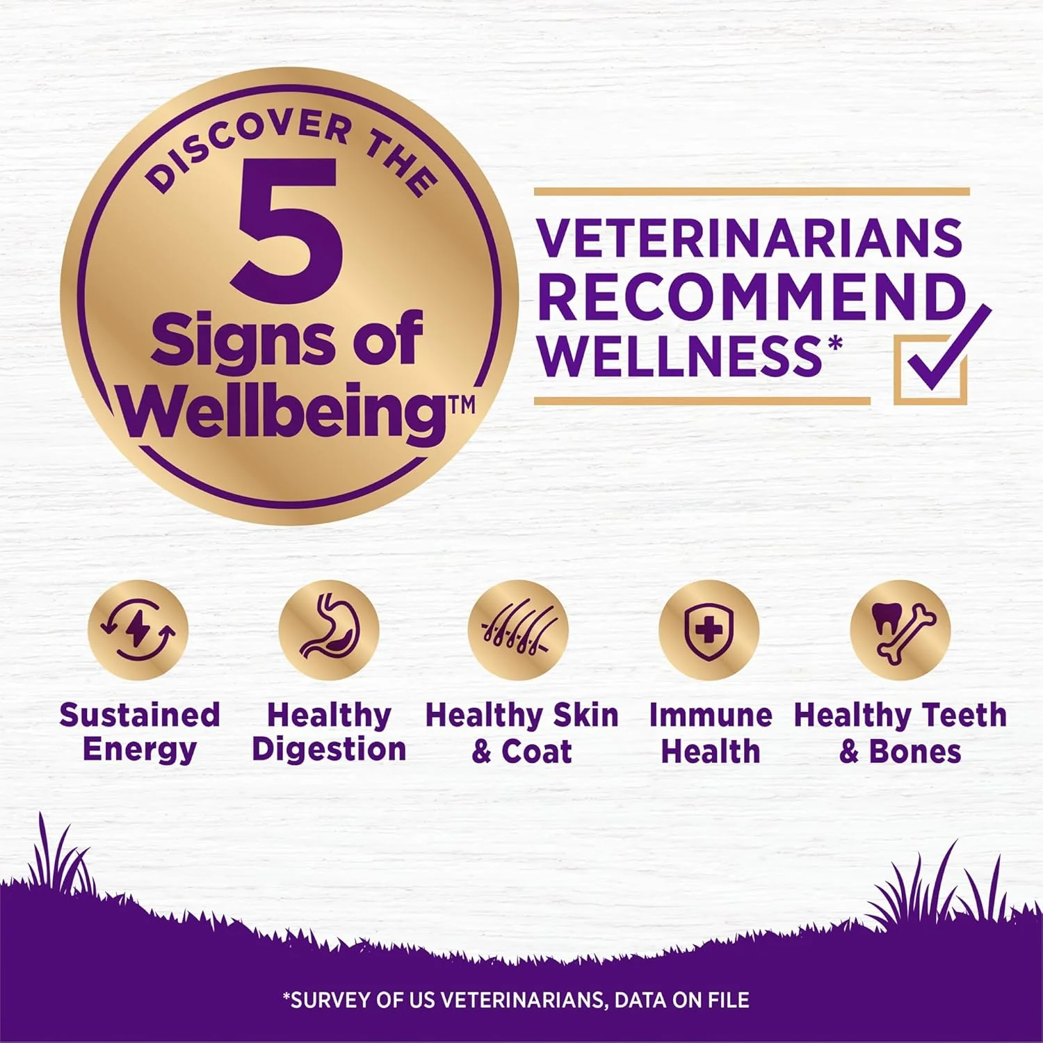 Wellness Complete Health Dry Dog Food, Wholesome Grains, Natural, Healthy Weight Chicken & Peas Recipe - Image 4