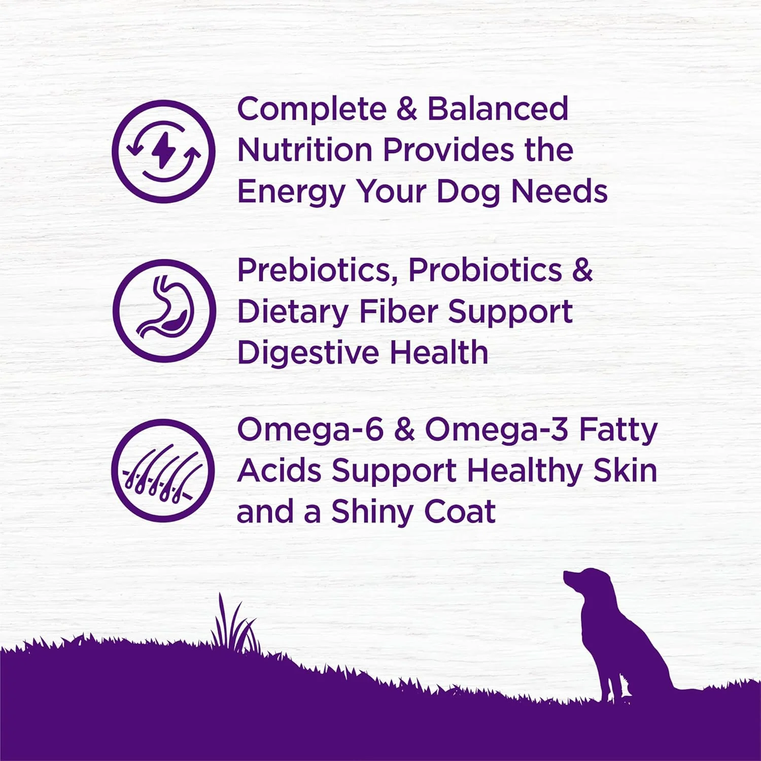 Wellness Complete Health Dry Dog Food, Wholesome Grains, Natural, Lamb & Barley Recipe - Image 4