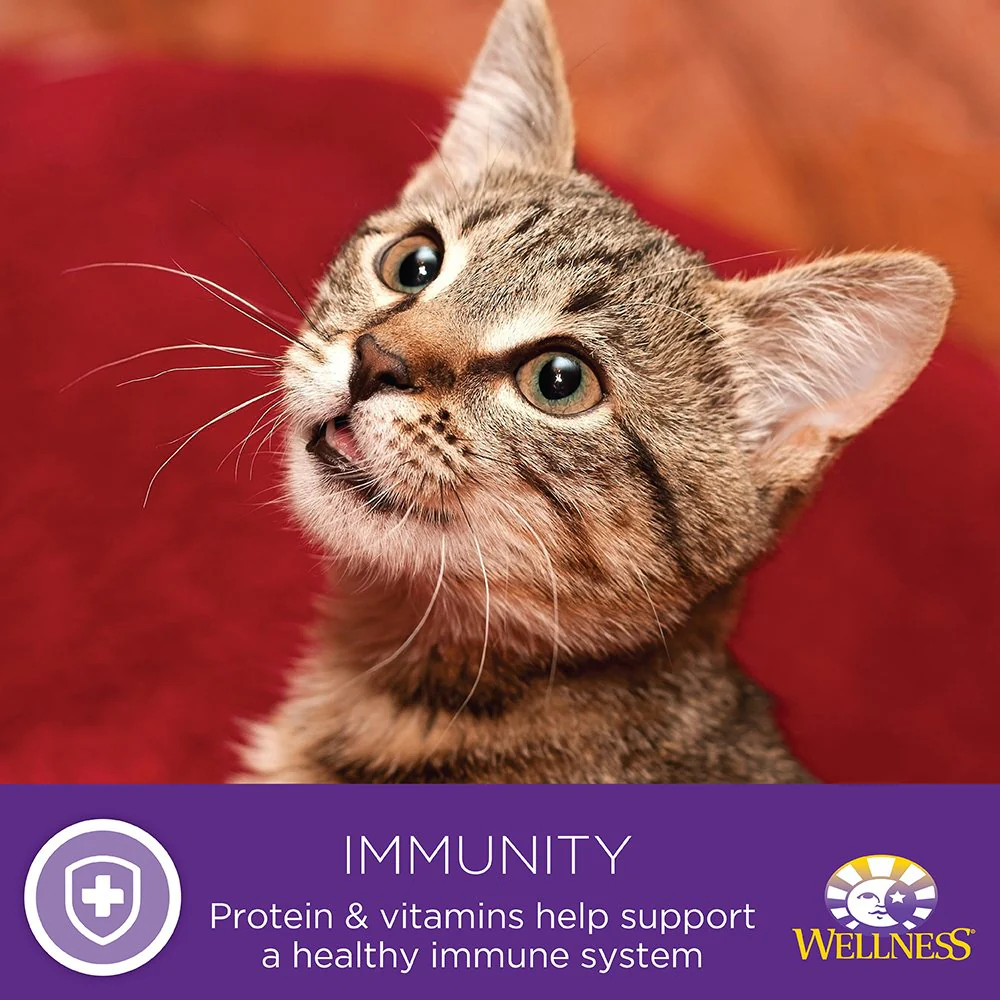 Wellness Complete Health Grain Free Turkey & Salmon Natural Wet Canned Cat Food - Image 10