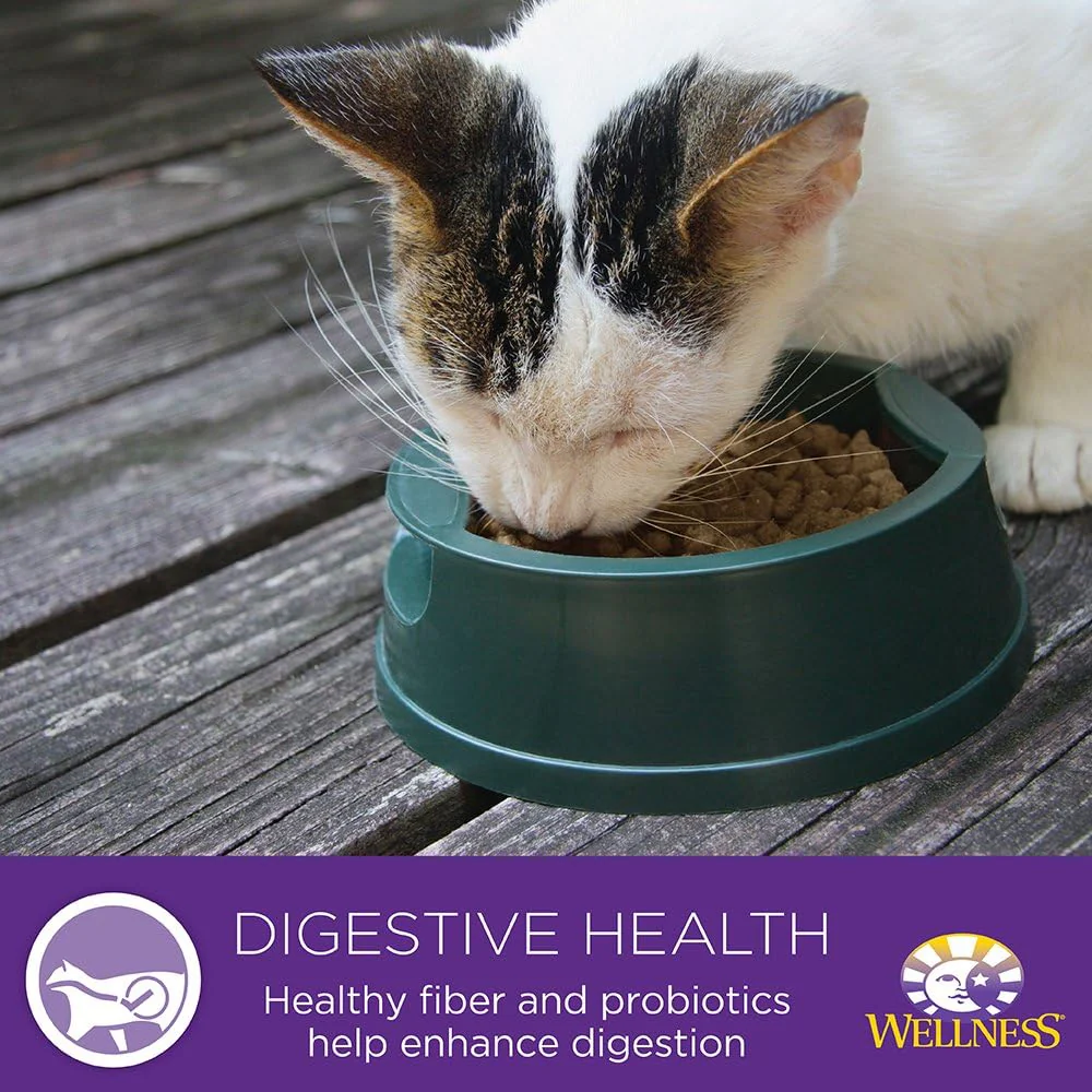 Wellness Complete Health Natural Canned Grain Free Wet Cat Food, Chicken & Herring Pate - Image 6
