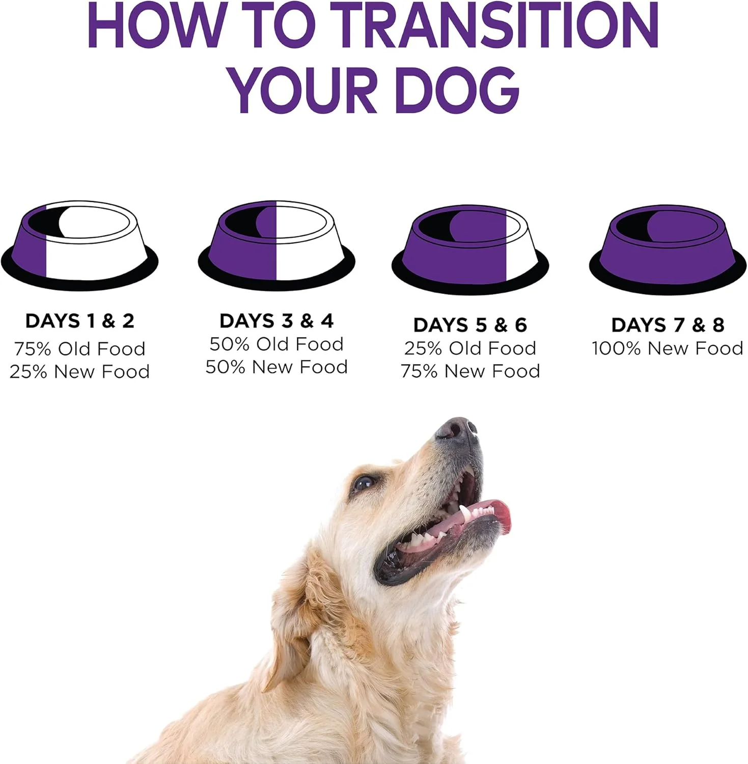 Wellness Complete Health Large Breed Dry Dog Food with Grains, Natural Ingredients, Made in USA with Real Meat (Adult, Chicken & Rice) - Image 11