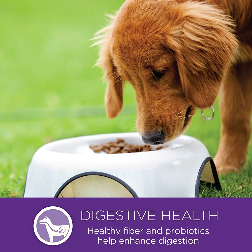 Wellness Complete Health Small Breed Dry Dog Food with Grains, Natural Ingredients, Made in USA with Real Turkey, For Dogs Up to 25 lbs. (Puppy, Turkey, Salmon & Oatmeal) - Image 11