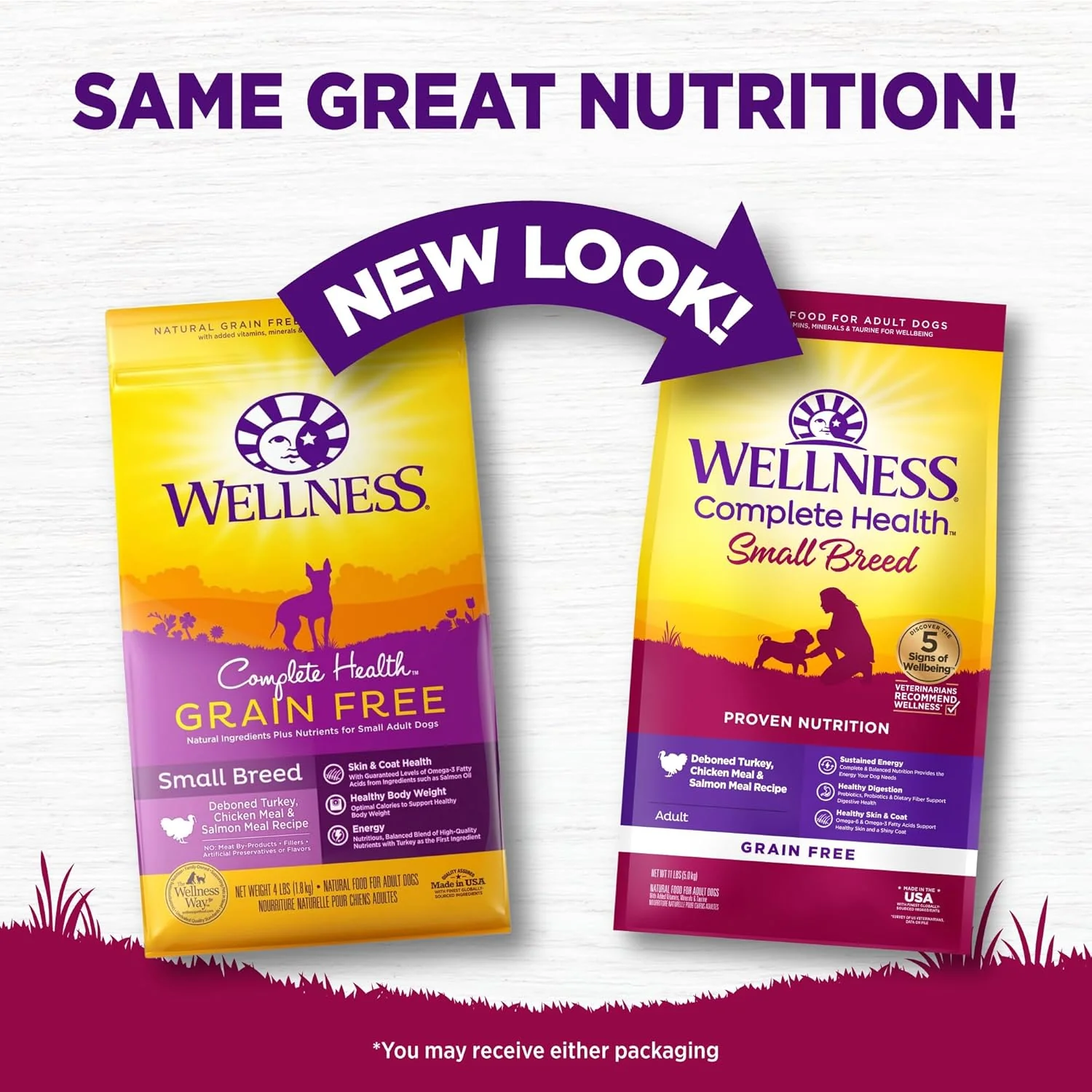 Wellness Complete Health Dry Dog Food, Small Breed, Grain Free, Natural, Turkey, Chicken, & Salmon Recipe - Image 3