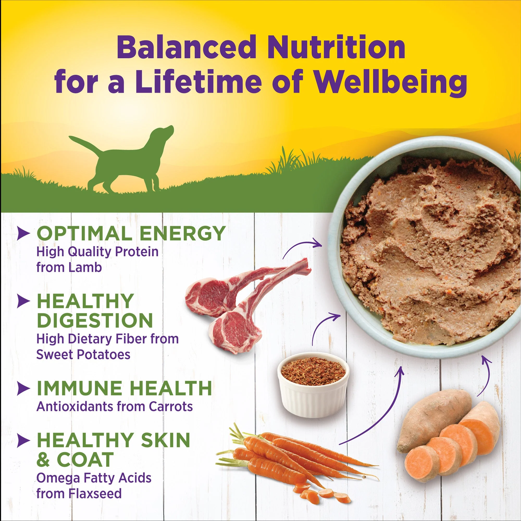 Wellness Complete Health Natural Wet Canned Dog Food, Lamb & Sweet Potato - Image 5