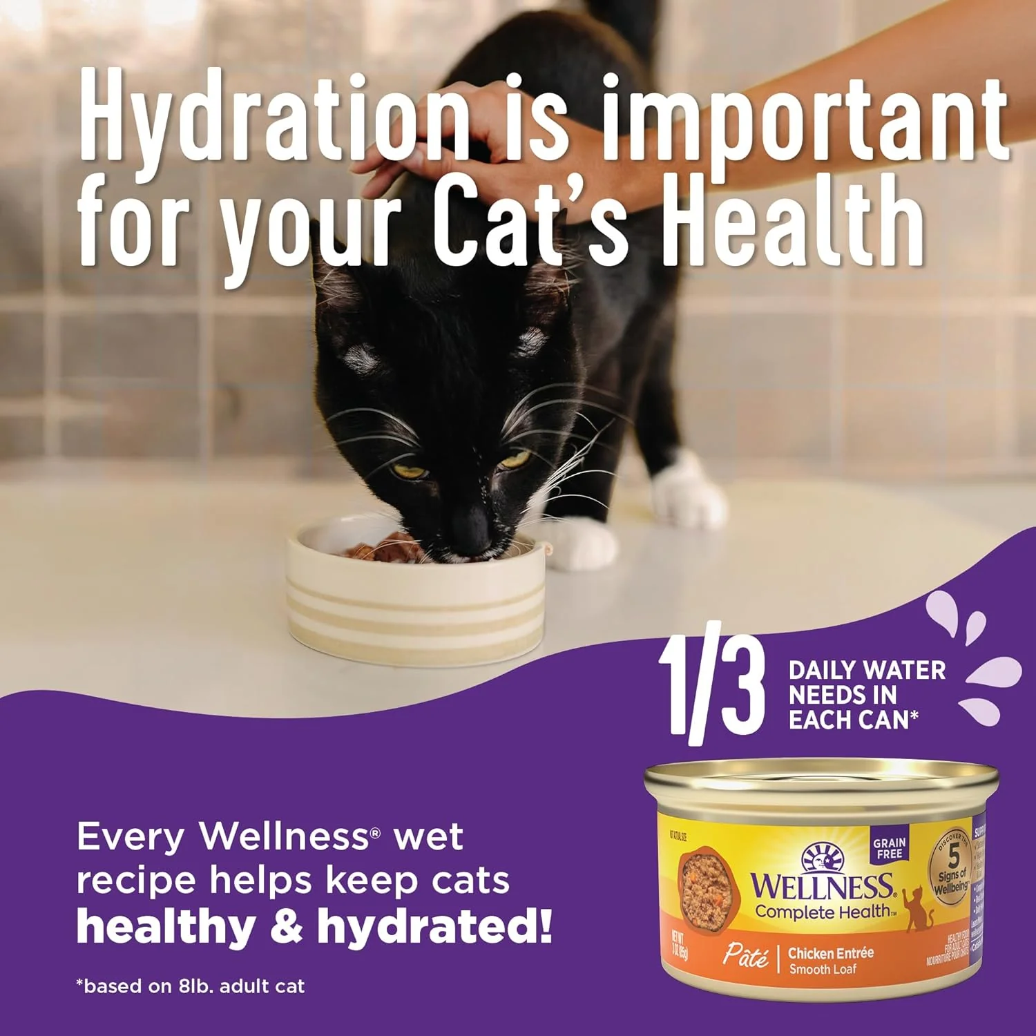Wellness Complete Health Pate Adult Wet Cat Food, Natural, Protein-Rich, Grain Free - Image 4
