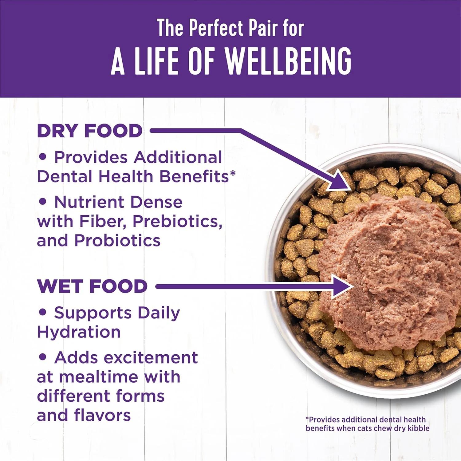 Wellness Complete Health Pate Adult Wet Cat Food, Natural, Protein-Rich, Grain Free (Turkey) - Image 5