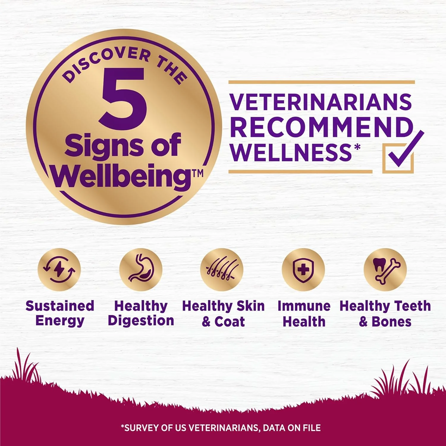 Wellness Complete Health Senior Dry Dog Food, Small Breed, Wholesome Grains, Natural, Age Advantage Turkey & Peas Recipe - Image 2