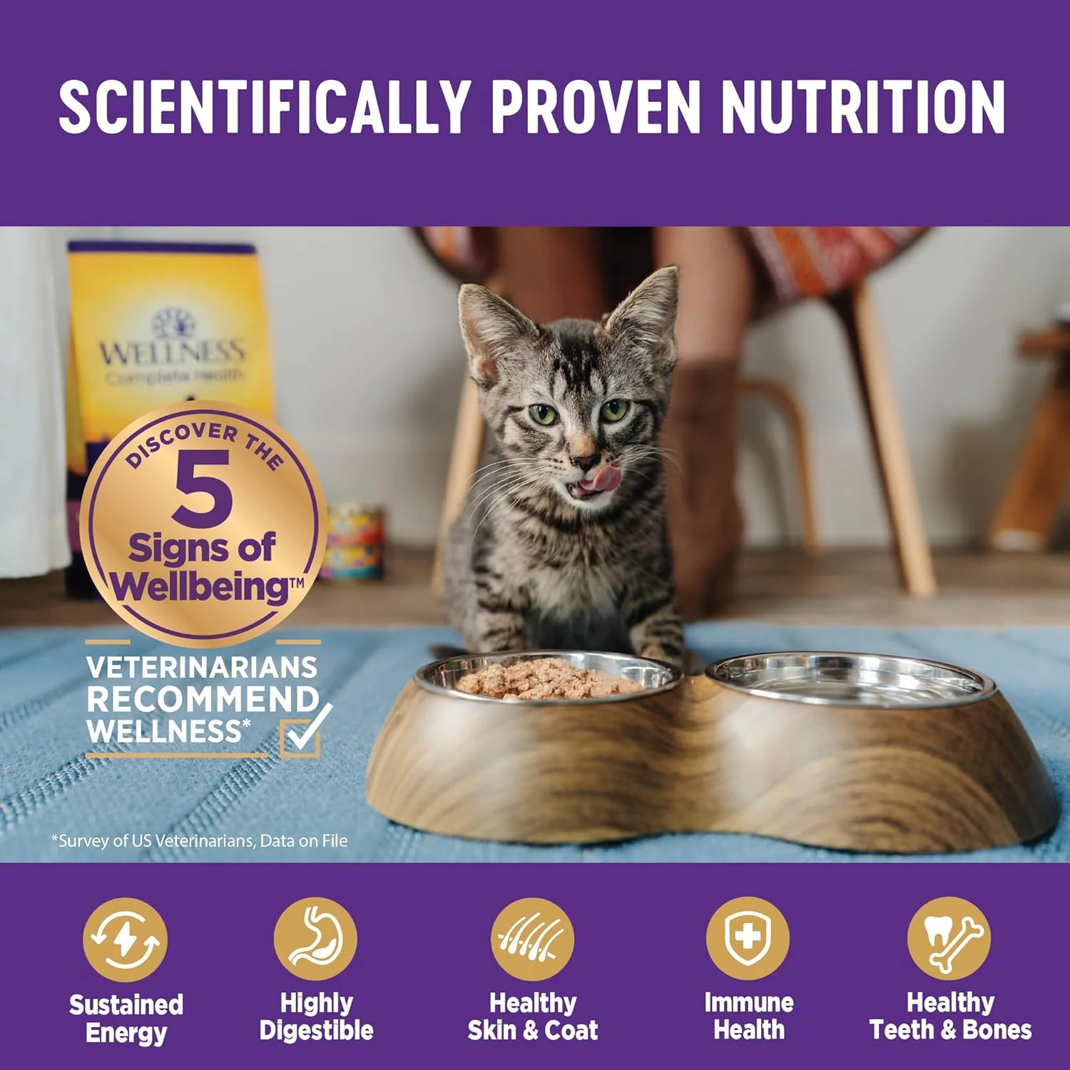 Wellness Complete Health Sliced Adult Wet Cat Food, Natural, Protein-Rich, Grain Free (Salmon Entrée) - Image 5