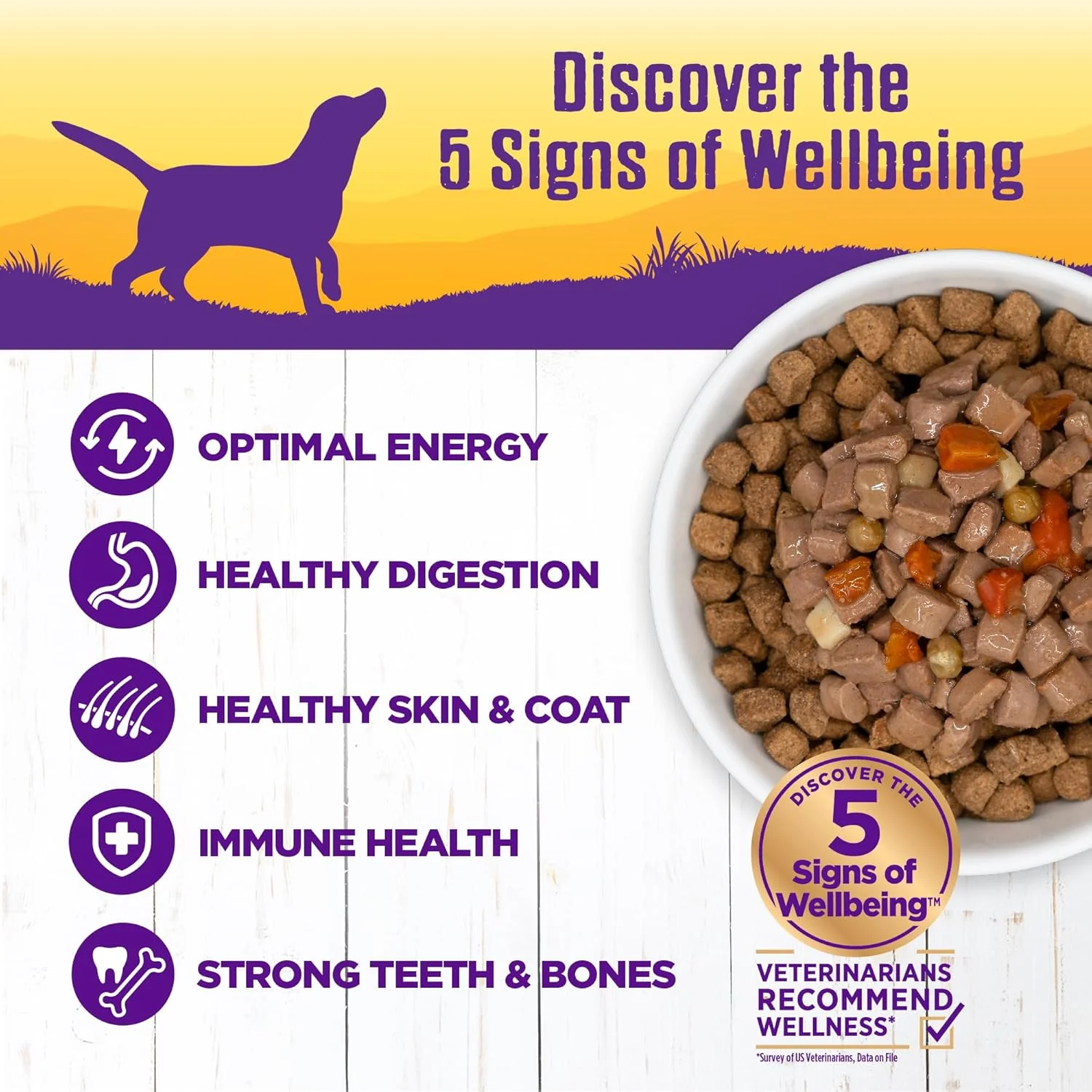 Wellness Complete Health Thick & Chunky Natural Grain Free Canned Wet Dog Food, Beef Stew - Image 3
