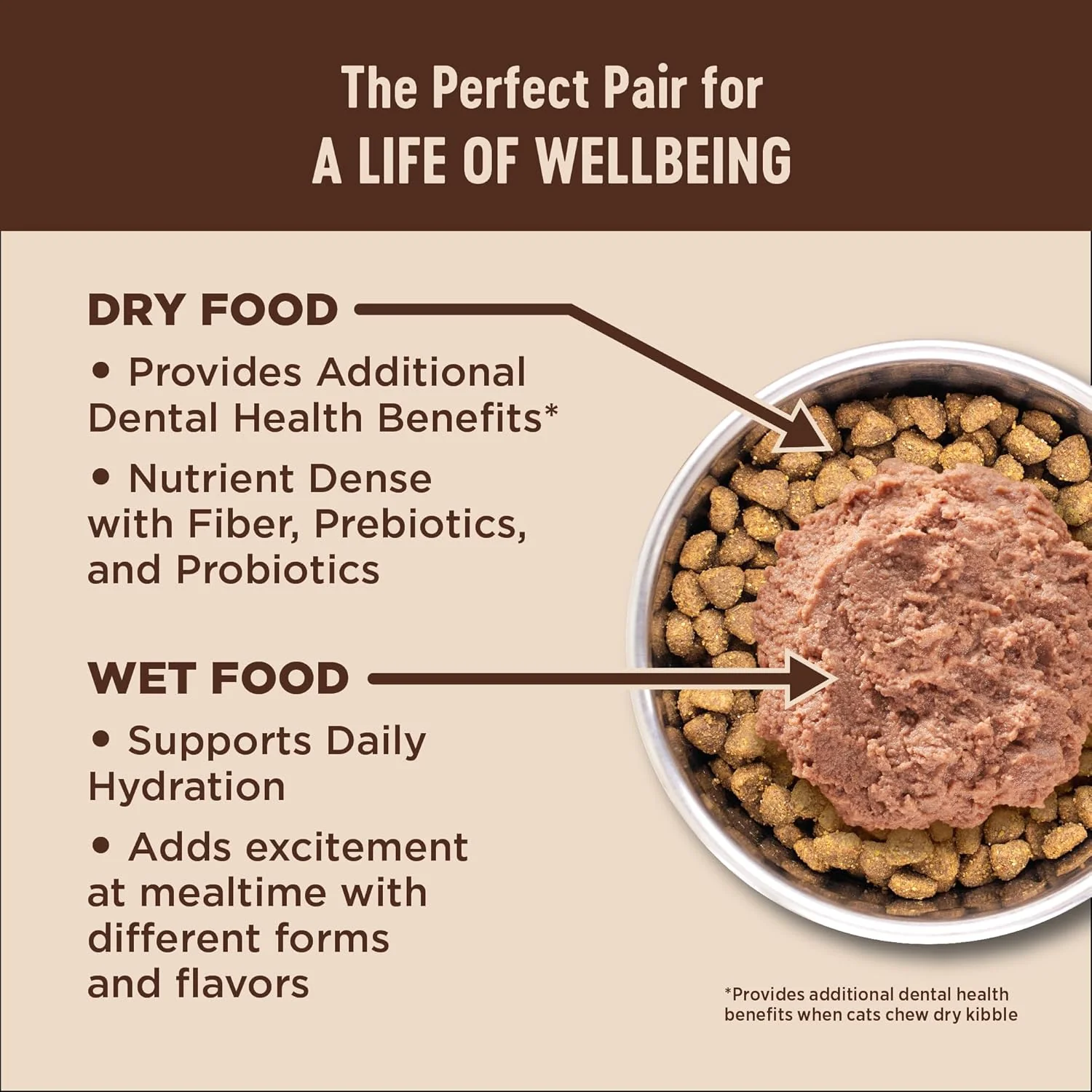 Wellness CORE+ Digestive Health Pate Adult Wet Cat Food, Natural, Protein-Rich, Grain Free (Chicken) - Image 5
