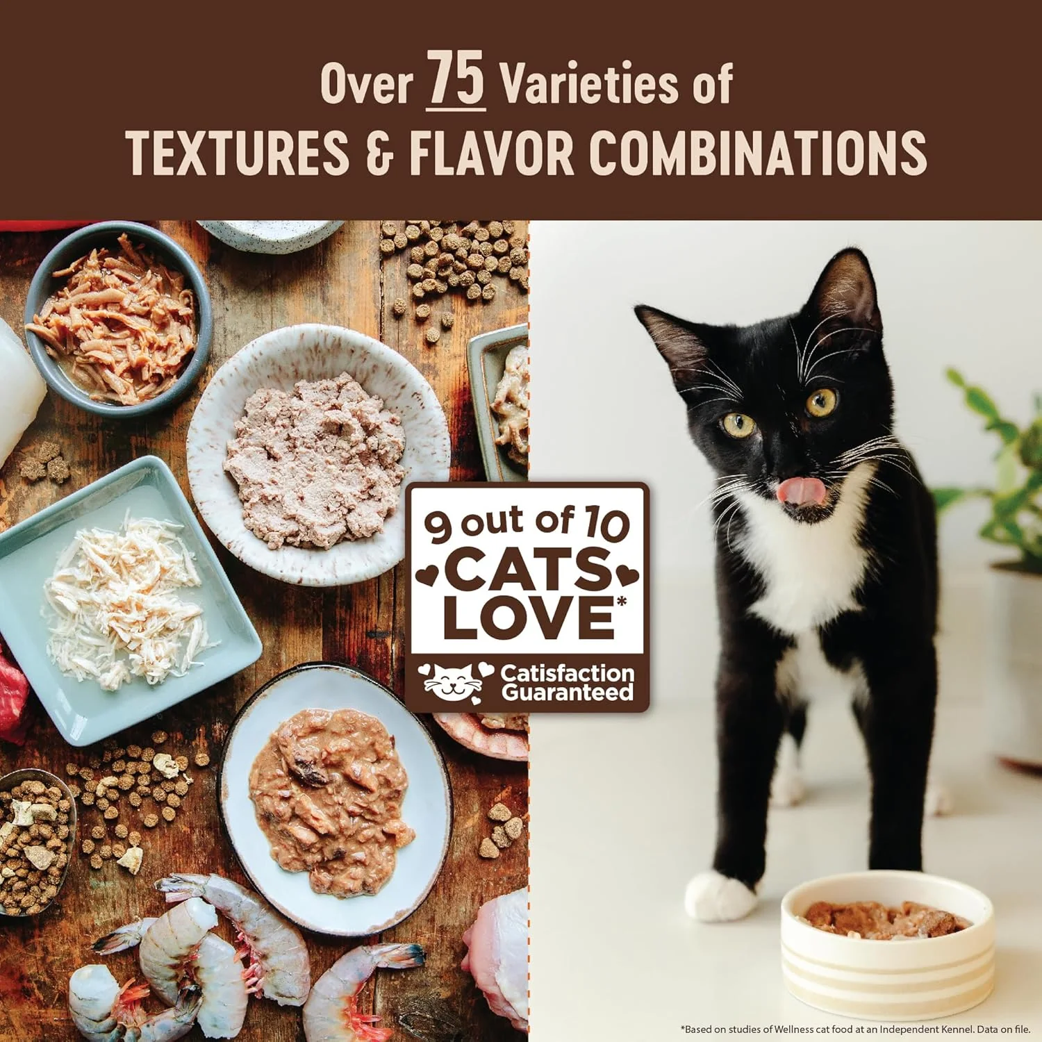 Wellness CORE+ Digestive Health Pate Adult Wet Cat Food, Natural, Protein-Rich, Grain Free (Salmon) - Image 7