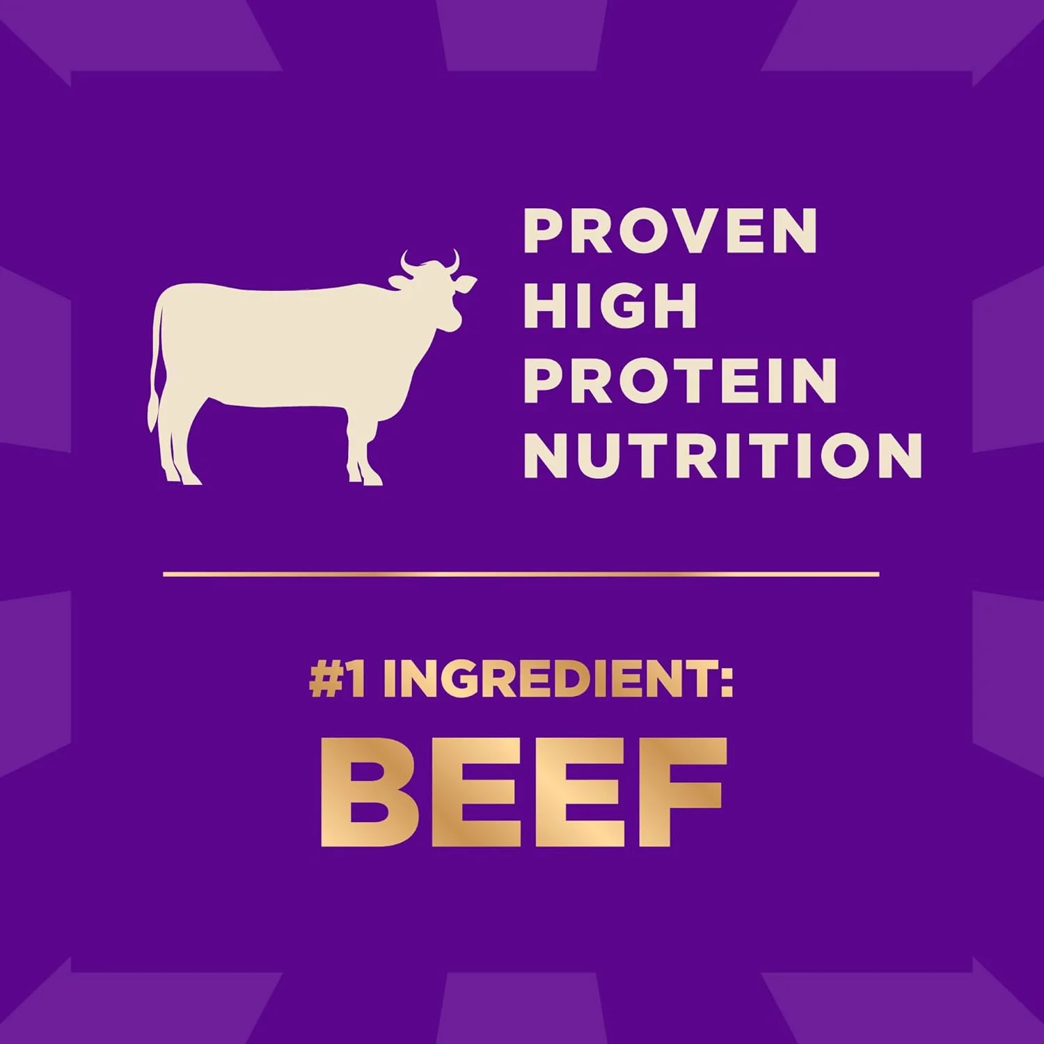 Wellness CORE+ (Formerly RawRev) Dry Dog Food with Freeze Dried Pieces, Wholesome Grains, High Protein, Natural, Beef & Barley Recipe - Image 3