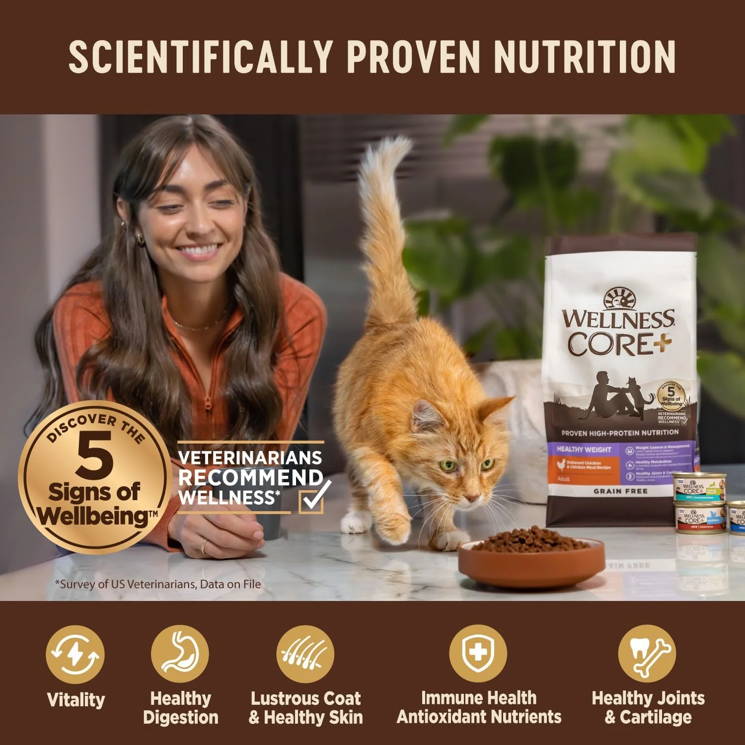 Wellness CORE+ Grain-Free High Protein Adult Dry Cat Food, Chicken, Turkey & Chicken Meal Indoor Formula Dry Cat Food - Image 4