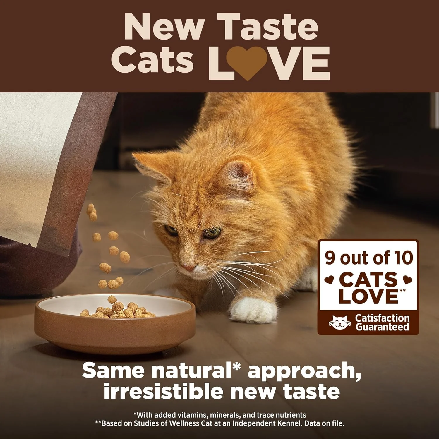 Wellness CORE+ Grain-Free High Protein Adult Dry Cat Food, Chicken, Turkey & Chicken Meal Indoor Formula Dry Cat Food - Image 5