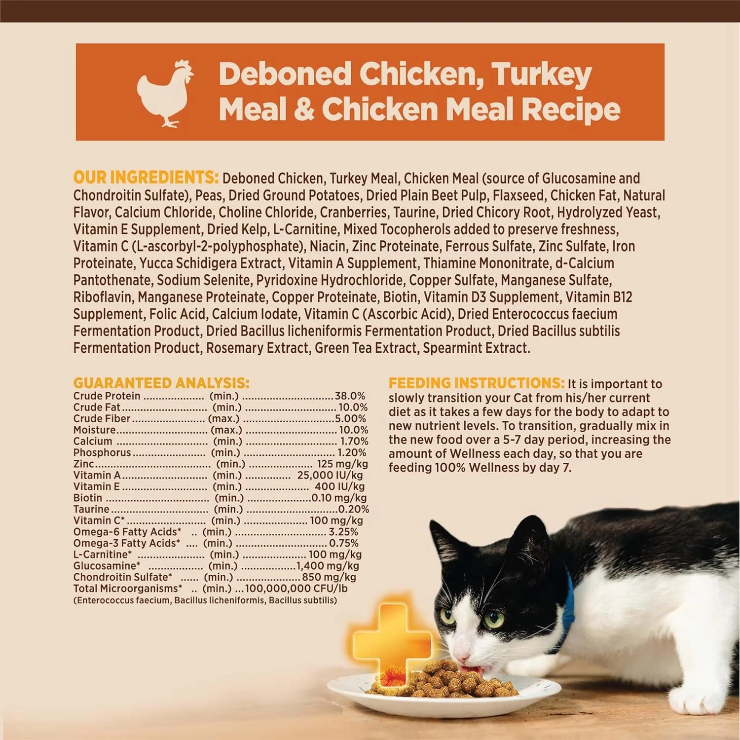Wellness CORE+ Grain-Free High Protein Adult Dry Cat Food, Chicken, Turkey & Chicken Meal Indoor Formula Dry Cat Food - Image 7