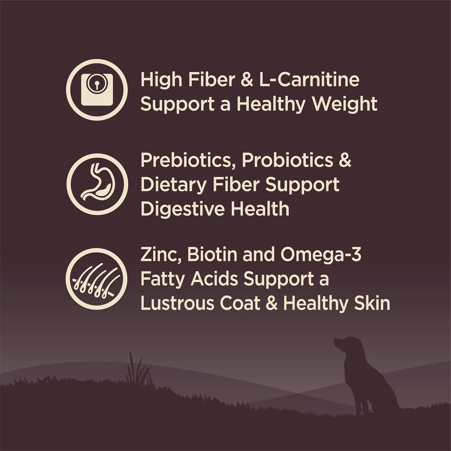 Wellness CORE Grain-Free High-Protein Dry Dog Food, Natural Ingredients, Made in USA with Real Meat, All Breeds, For Adult Dogs - Image 6