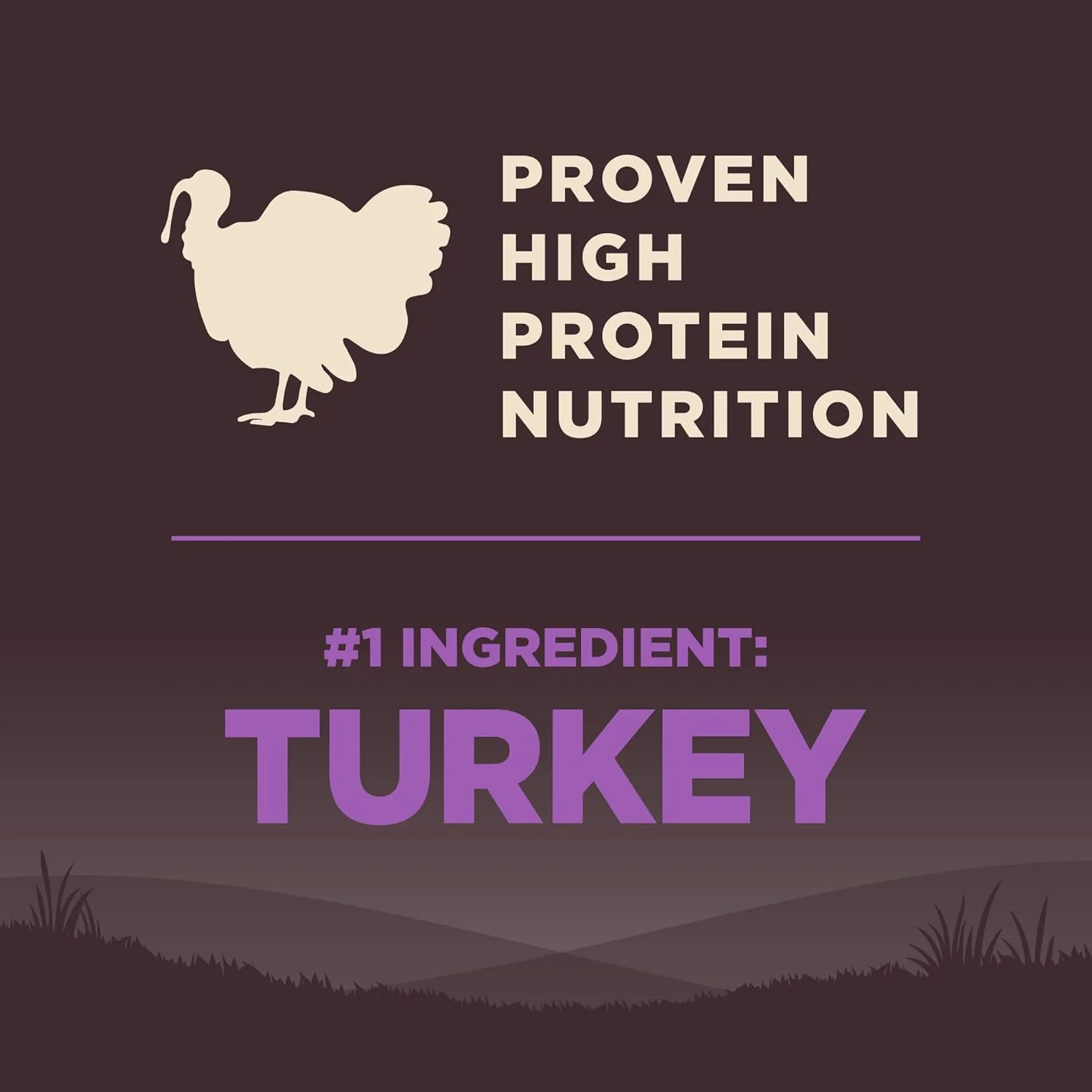Wellness CORE Grain-Free Senior Dry Dog Food, Made in USA with Real Turkey and Natural Ingredients, With Nutrients for Immune, Joint, Skin & Coat Support - Image 4
