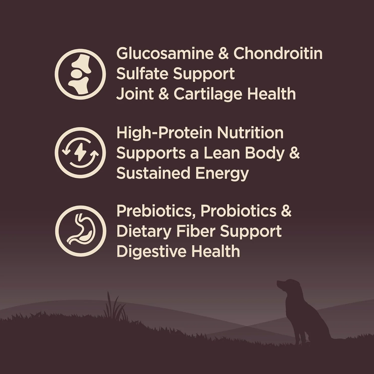 Wellness CORE Grain-Free Senior Dry Dog Food, Made in USA with Real Turkey and Natural Ingredients, With Nutrients for Immune, Joint, Skin & Coat Support - Image 6