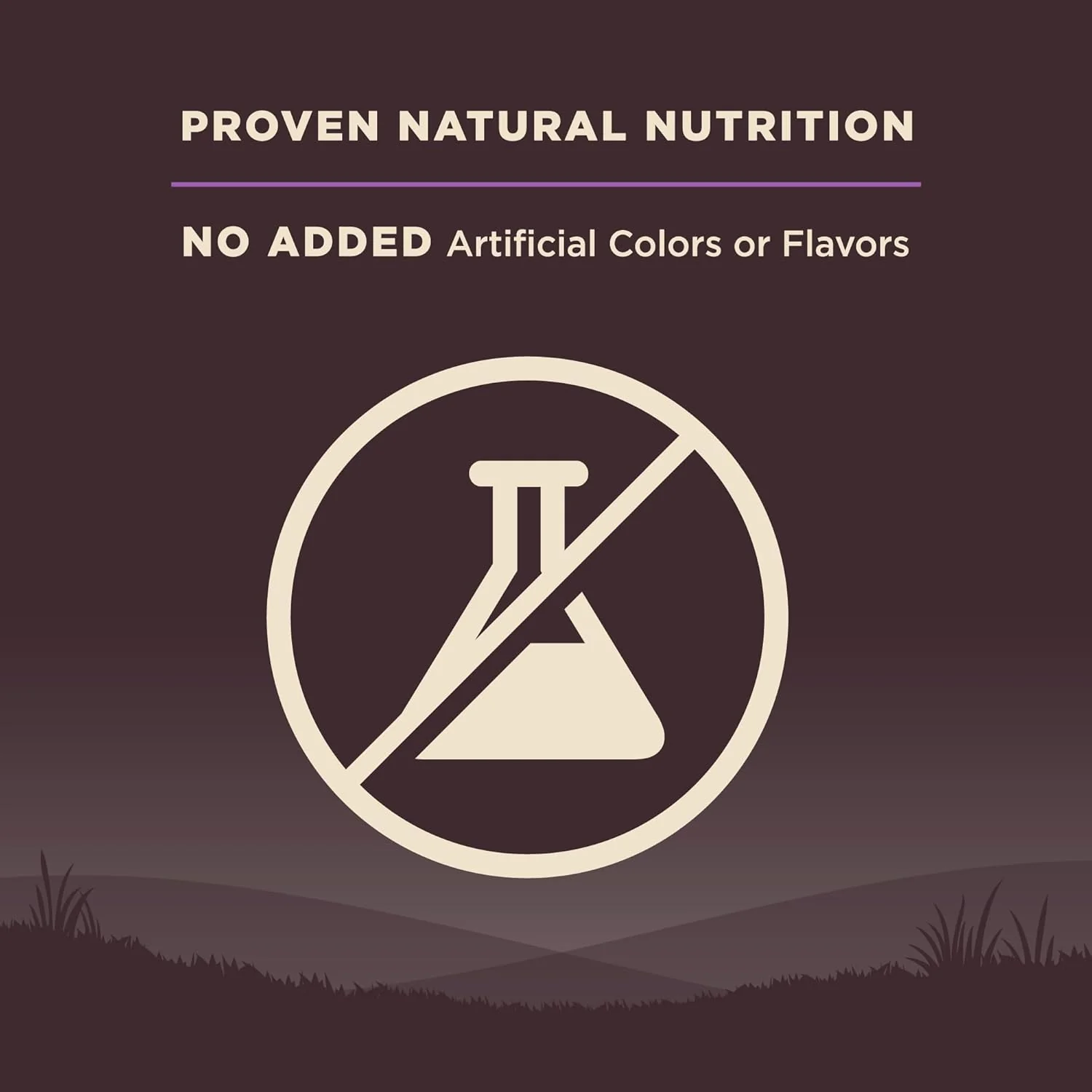 Wellness CORE Grain-Free Senior Dry Dog Food, Made in USA with Real Turkey and Natural Ingredients, With Nutrients for Immune, Joint, Skin & Coat Support - Image 7