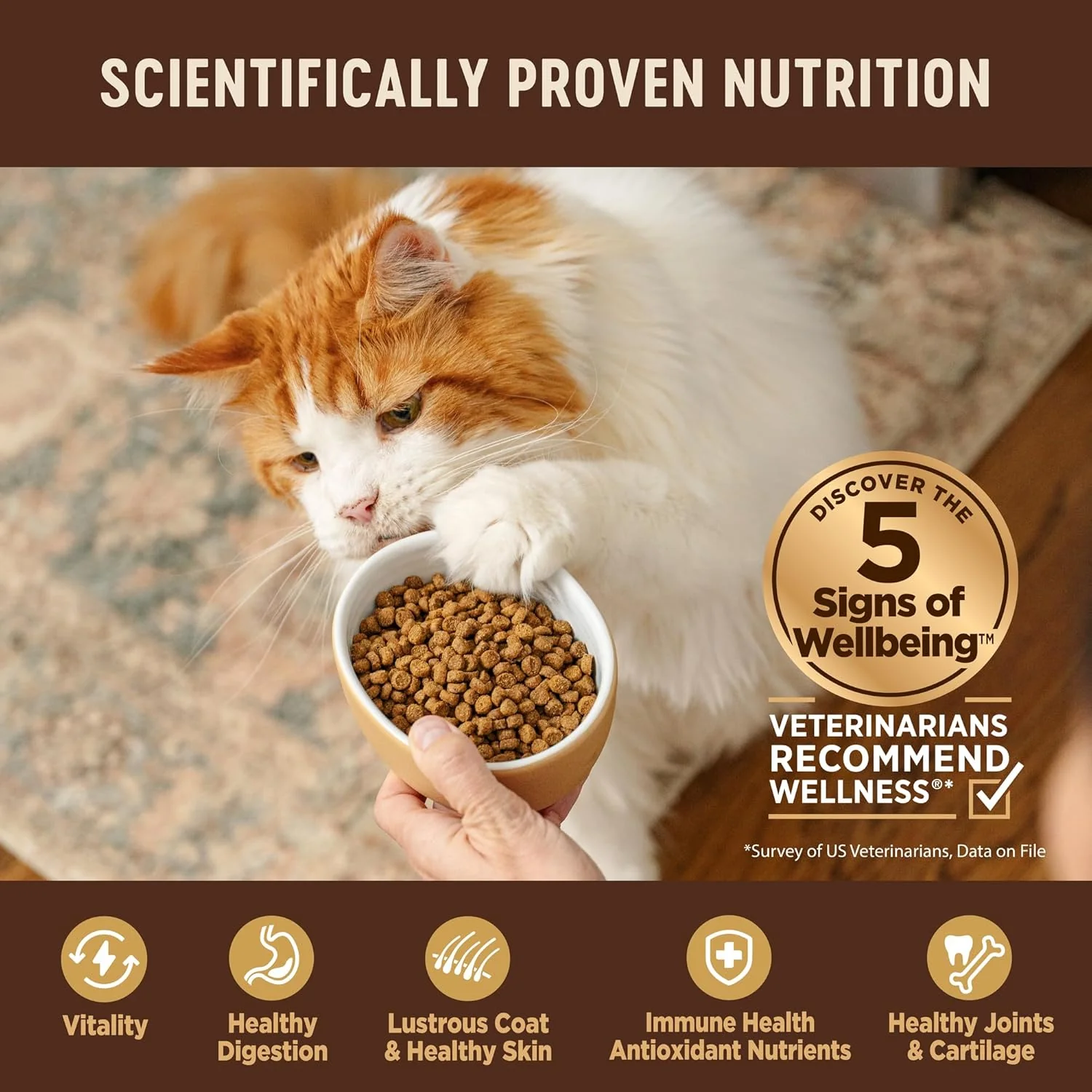 Wellness CORE High Protein Grain-Free Adult Dry Cat Food, Original Formula Turkey, Turkey Meal & Chicken Recipe - Image 4