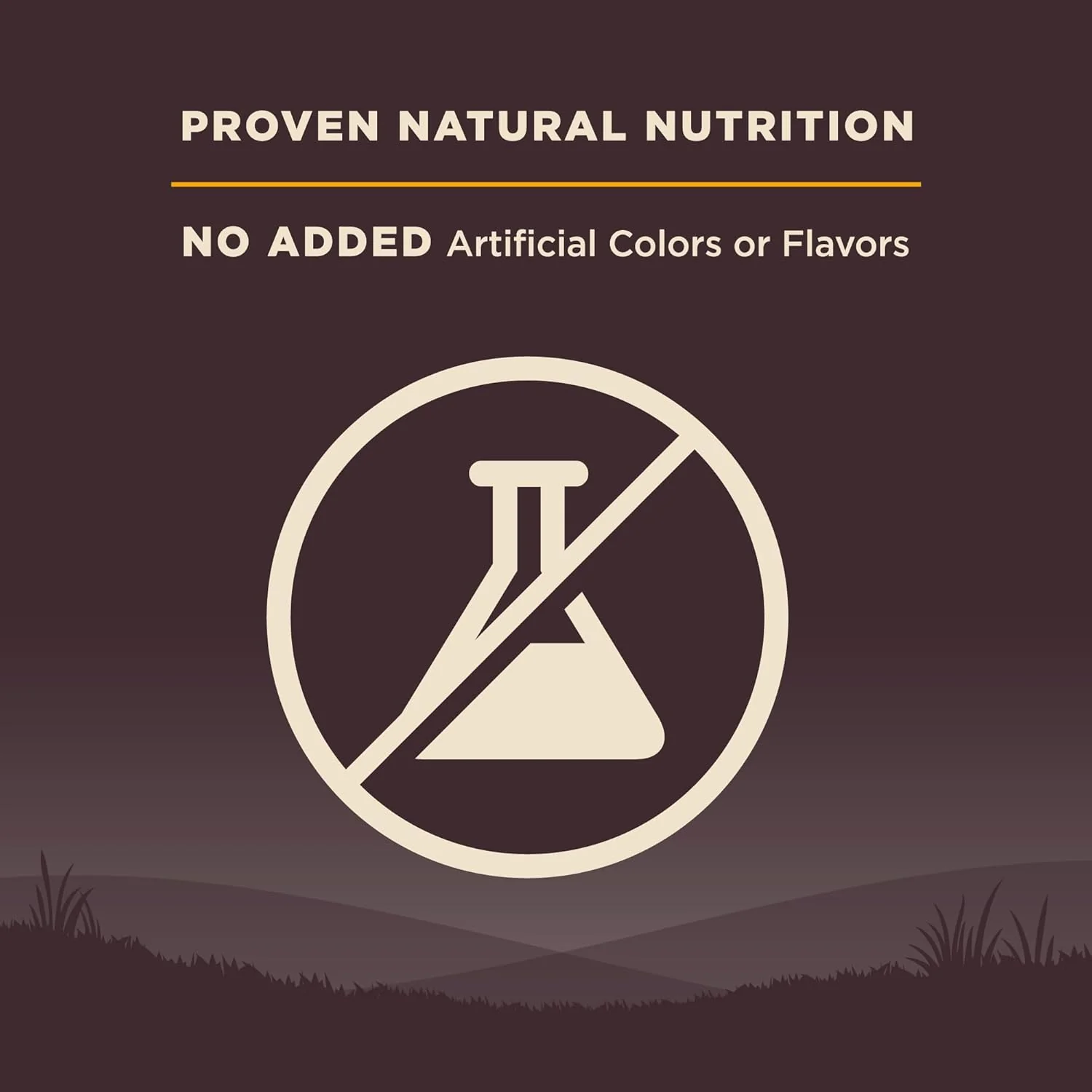 Wellness CORE Grain-Free High-Protein Small Breed Dry Dog Food, Natural Ingredients, Made in USA with Real Meat (Puppy, Turkey) - Image 7