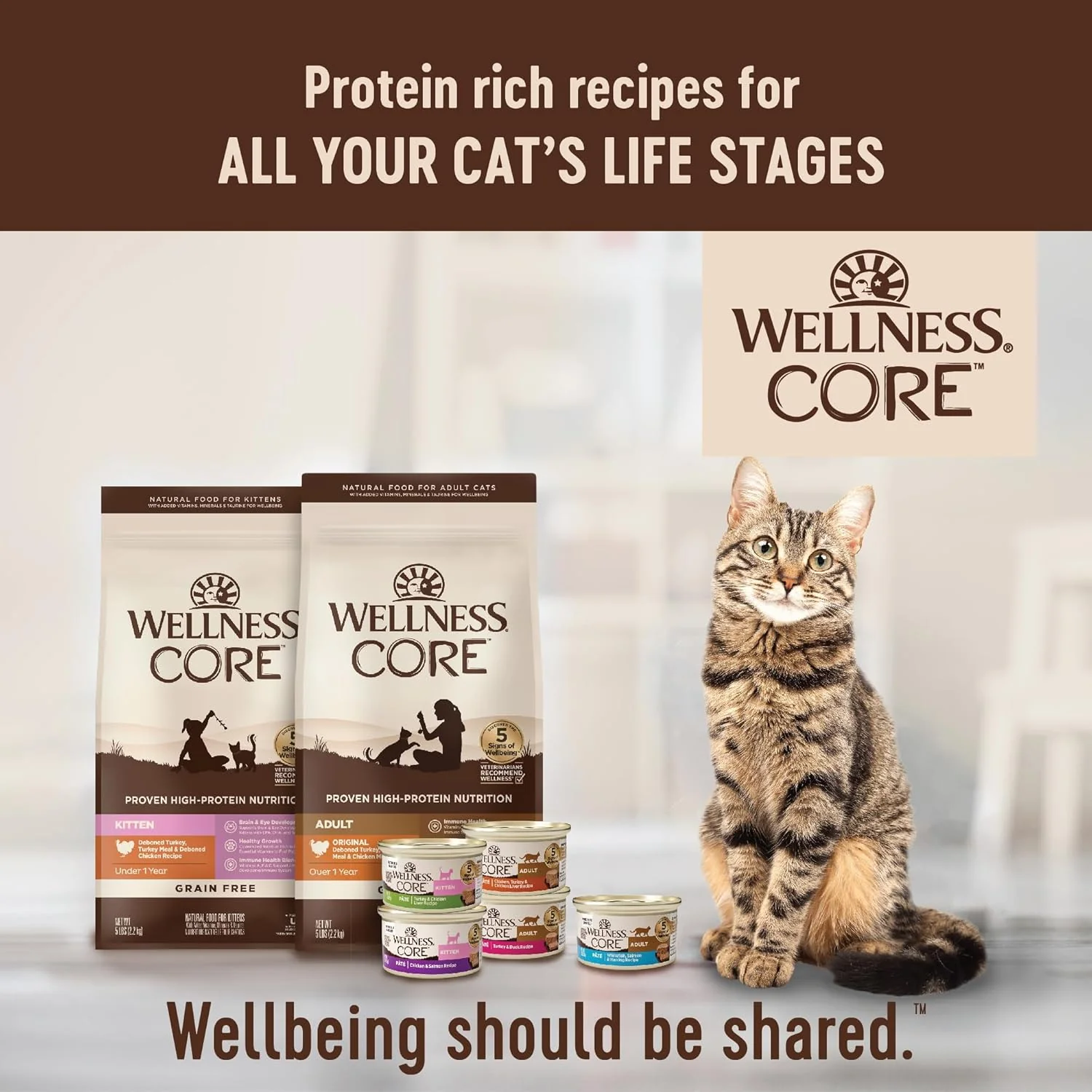 Wellness CORE Natural Grain-Free High Protein Adult Dry Cat Food Recipe, Turkey, Turkey Meal and Duck Formula - Image 8