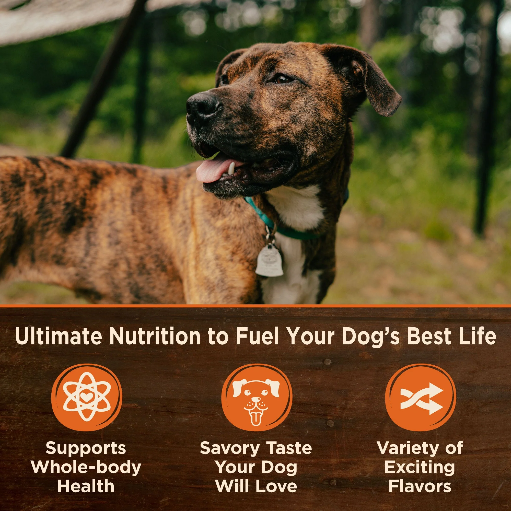 Wellness CORE Natural Wet Grain Free Canned Dog Food, Turkey & Chicken - Image 4