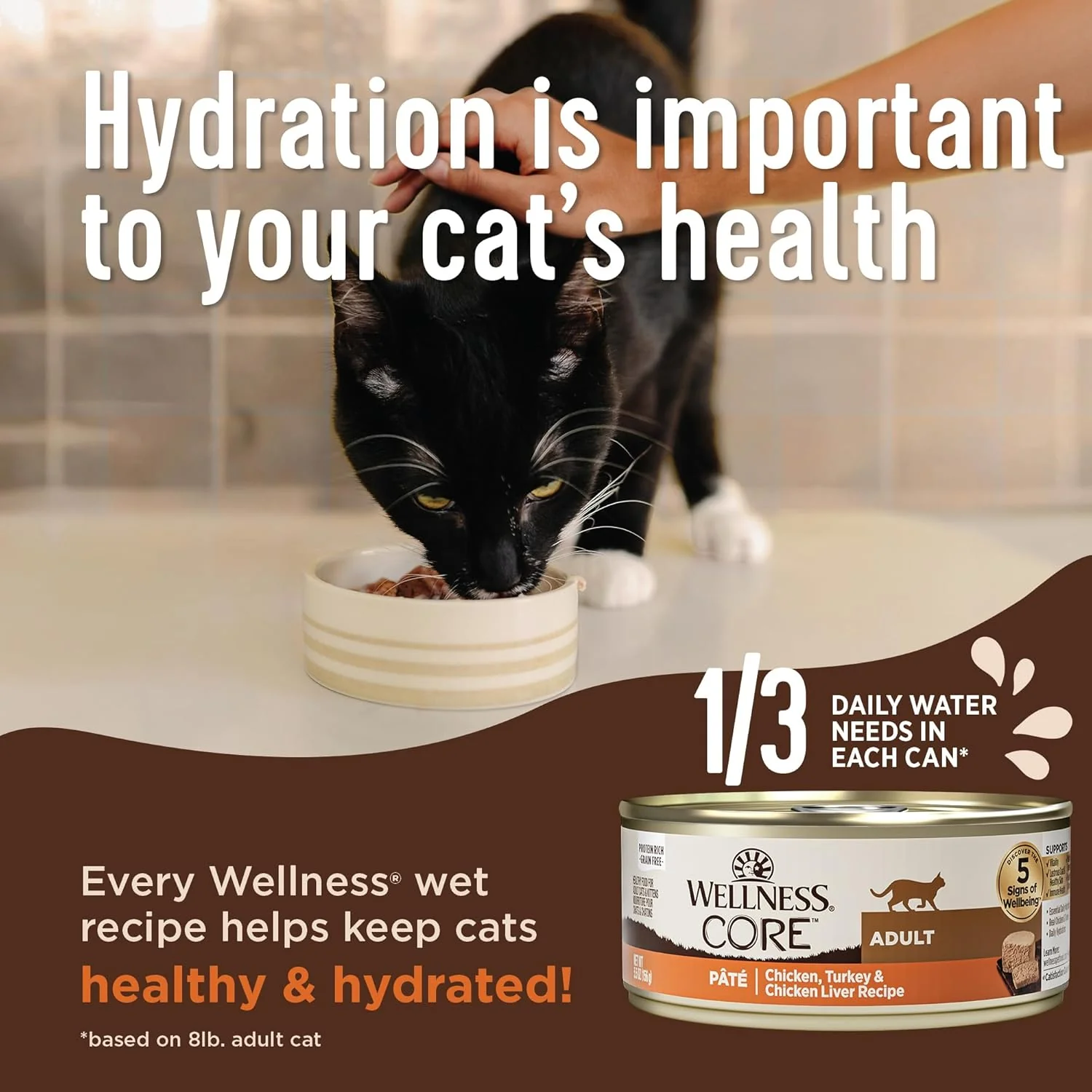 Wellness CORE Pate Adult Wet Cat Food, Natural, Protein-Rich, Grain Free (Turkey & Duck) - Image 4
