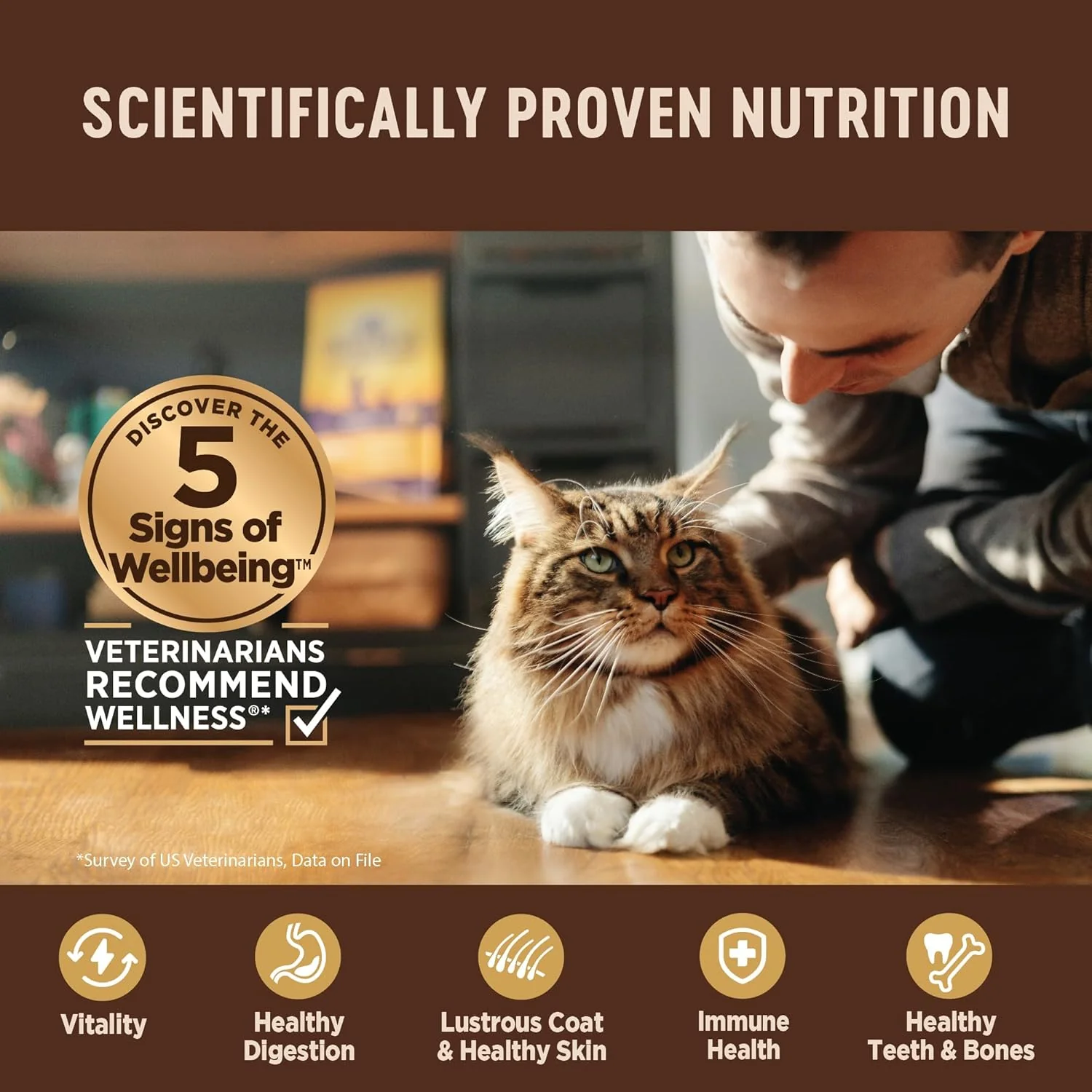 Wellness CORE Pate Adult Wet Cat Food, Natural, Protein-Rich, Grain Free (Turkey & Duck) - Image 5
