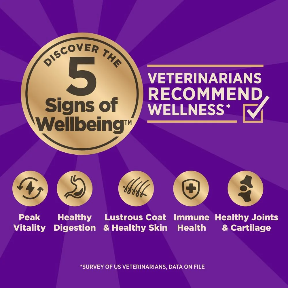 Wellness CORE+ (Formerly RawRev) Natural Grain Free Dry Dog Food, Original Turkey & Chicken with Freeze Dried Turkey - Image 2