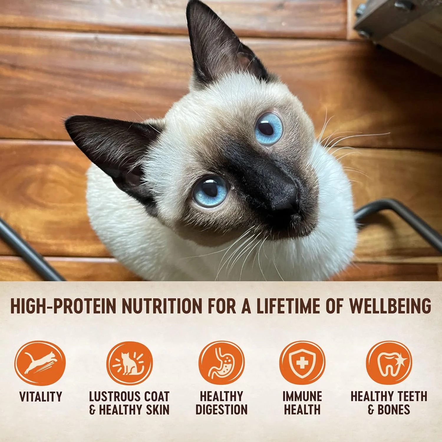 Wellness CORE Signature Selects Chunky Adult Wet Cat Food, Natural, Protein-Rich, Grain Free (Beef & Chicken) - Image 3