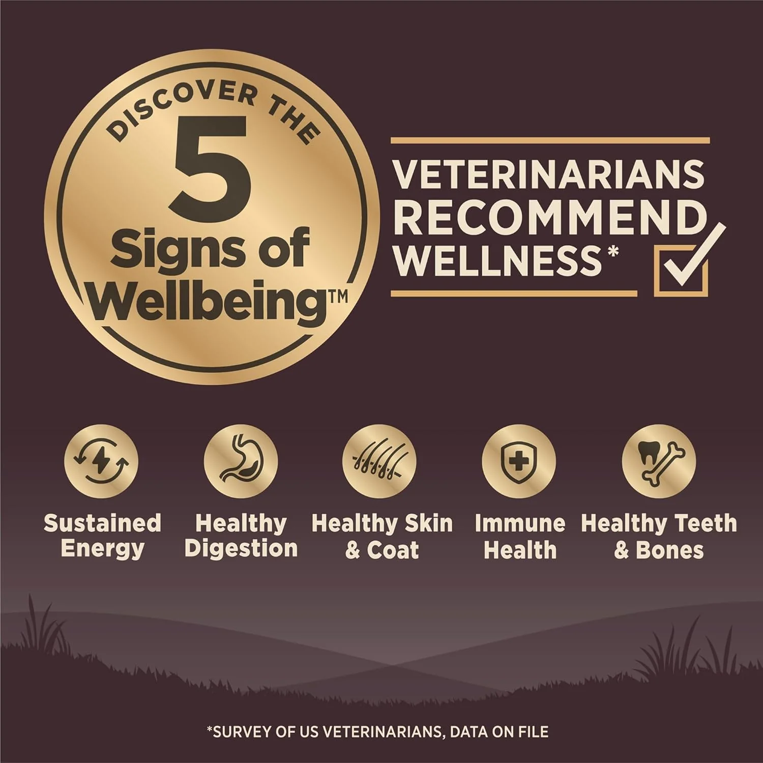 Wellness Natural Pet Food Wellness CORE Grain-Free High-Protein Large Breed Dry Dog Food, Natural Ingredients, Made in USA with Real Chicken (Puppy) - Image 2