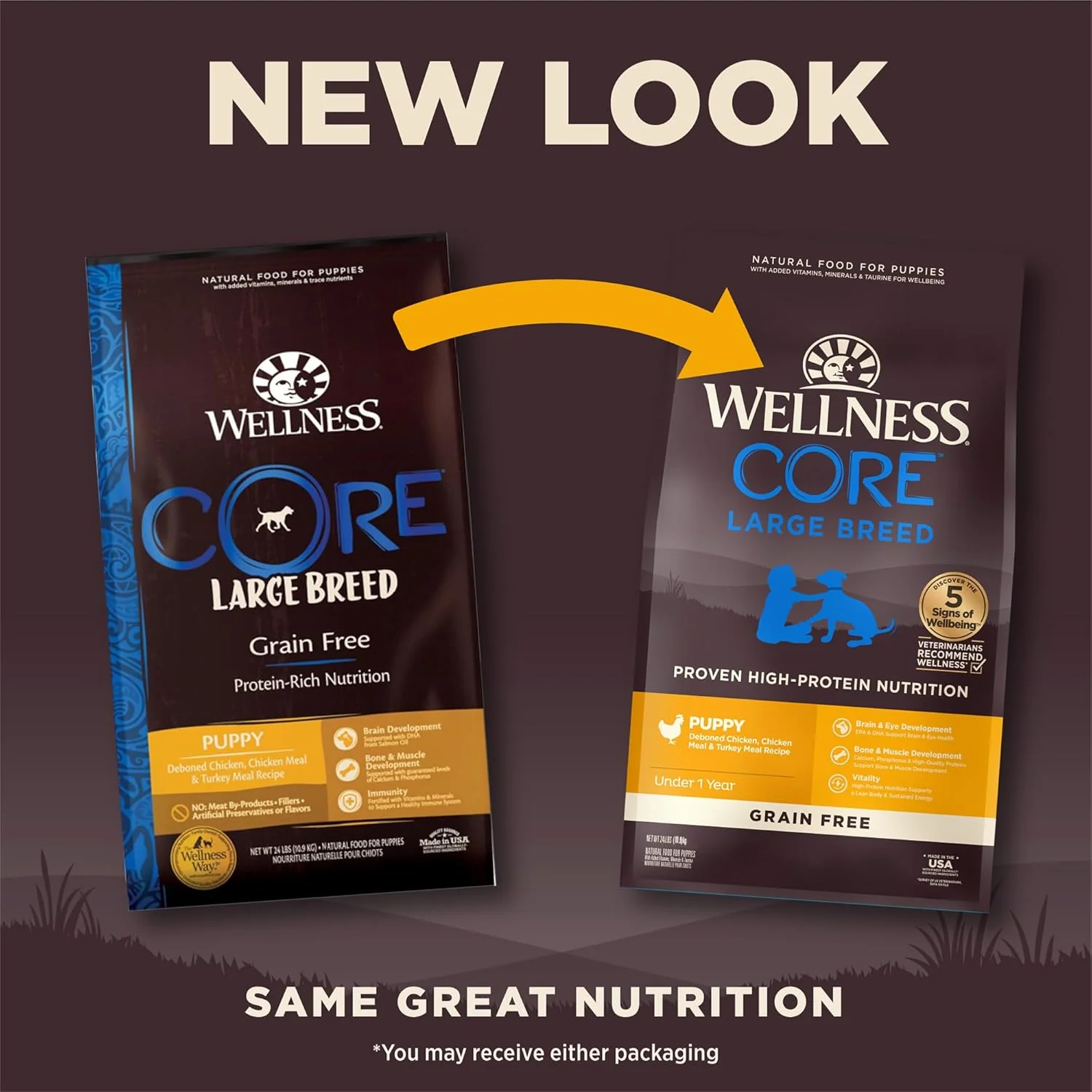 Wellness Natural Pet Food Wellness CORE Grain-Free High-Protein Large Breed Dry Dog Food, Natural Ingredients, Made in USA with Real Chicken (Puppy) - Image 3