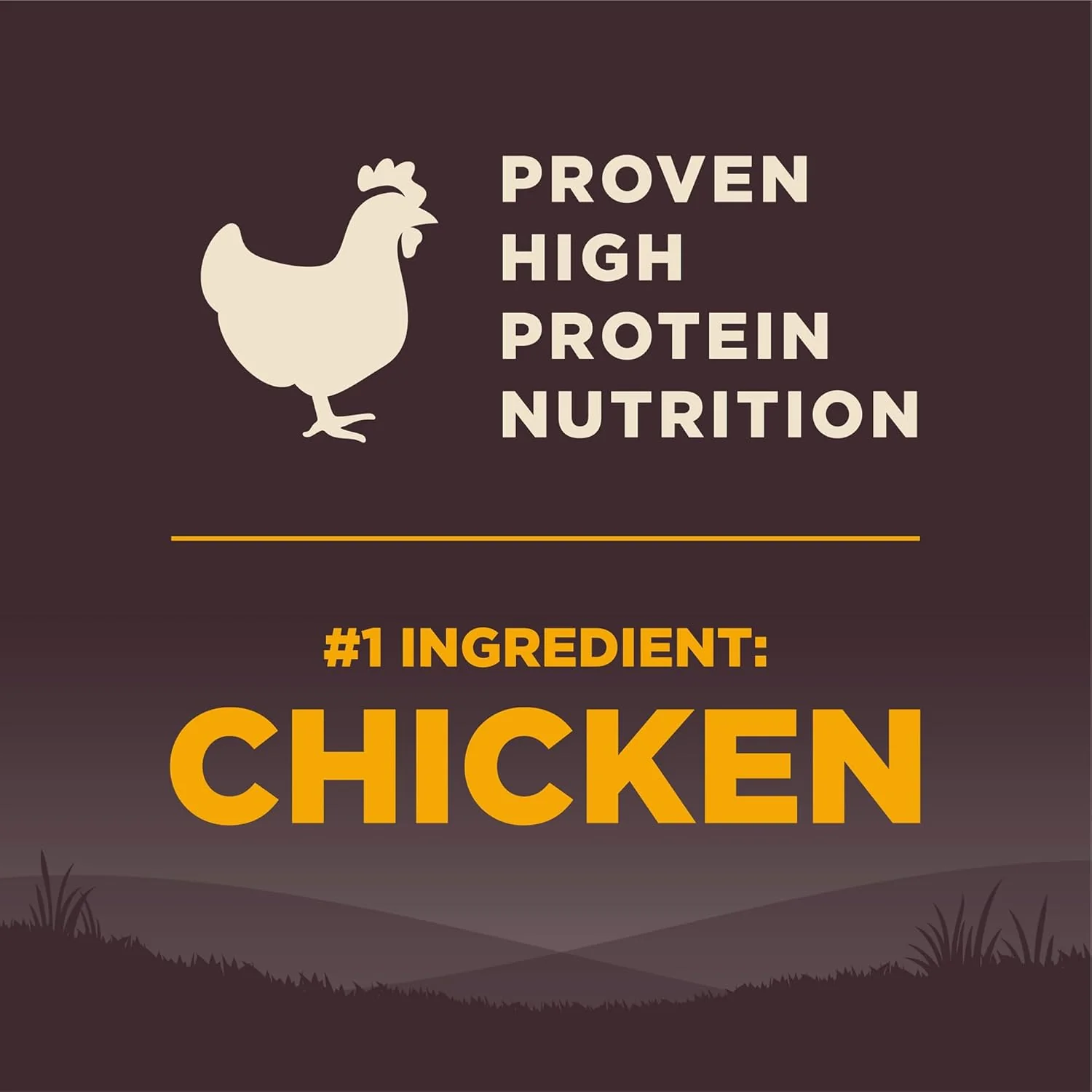 Wellness Natural Pet Food Wellness CORE Grain-Free High-Protein Large Breed Dry Dog Food, Natural Ingredients, Made in USA with Real Chicken (Puppy) - Image 4