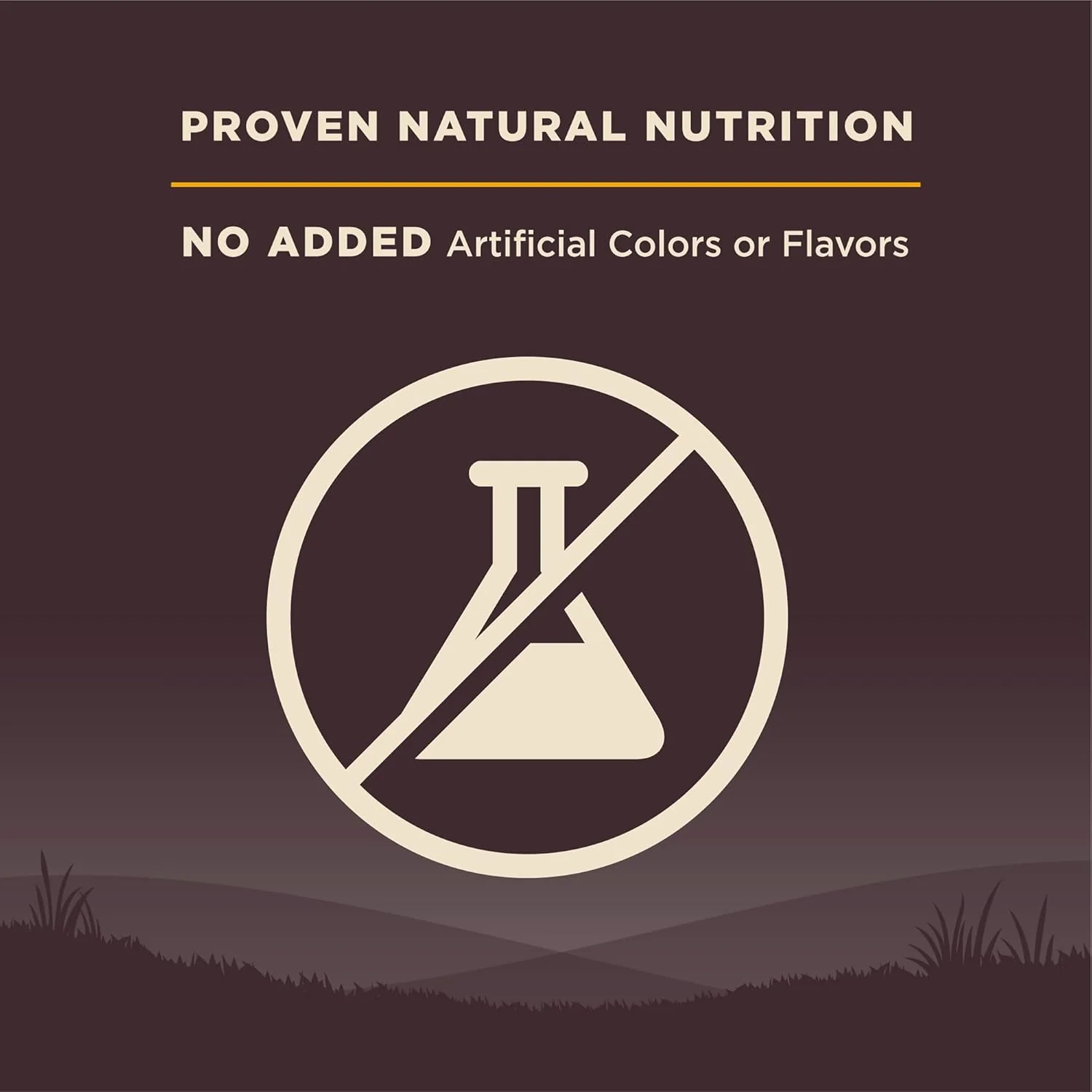 Wellness Natural Pet Food Wellness CORE Grain-Free High-Protein Large Breed Dry Dog Food, Natural Ingredients, Made in USA with Real Chicken (Puppy) - Image 7