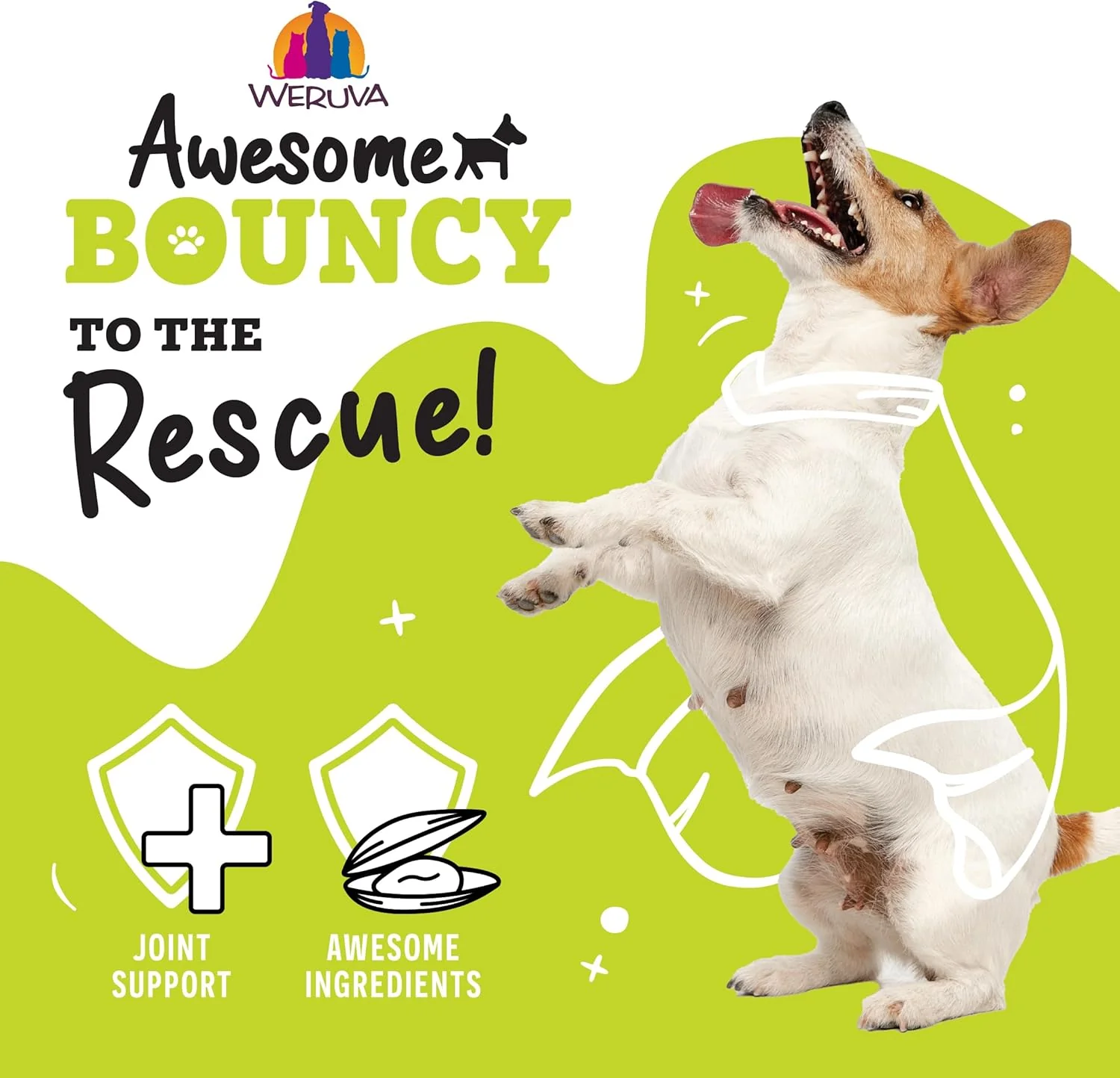 Weruva Awesome Bouncy Wet Dog Food, Chicken & Brown Rice with Veggies - Image 7