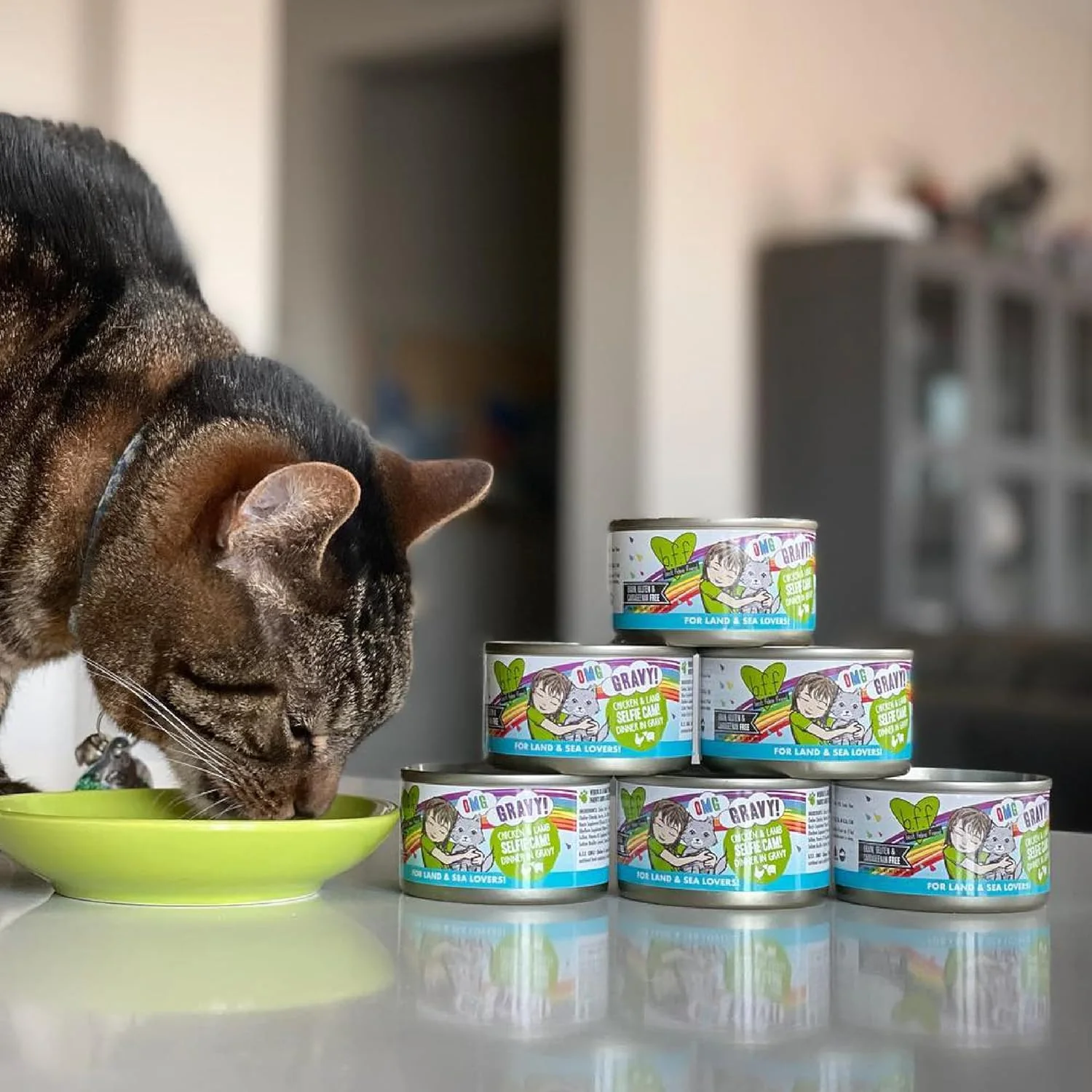 Weruva B.F.F. OMG - Best Feline Friend Oh My Gravy!, Chicken Cloud 9 with Chicken in Gravy, 5.5oz Can (Pack of 8) - Image 5