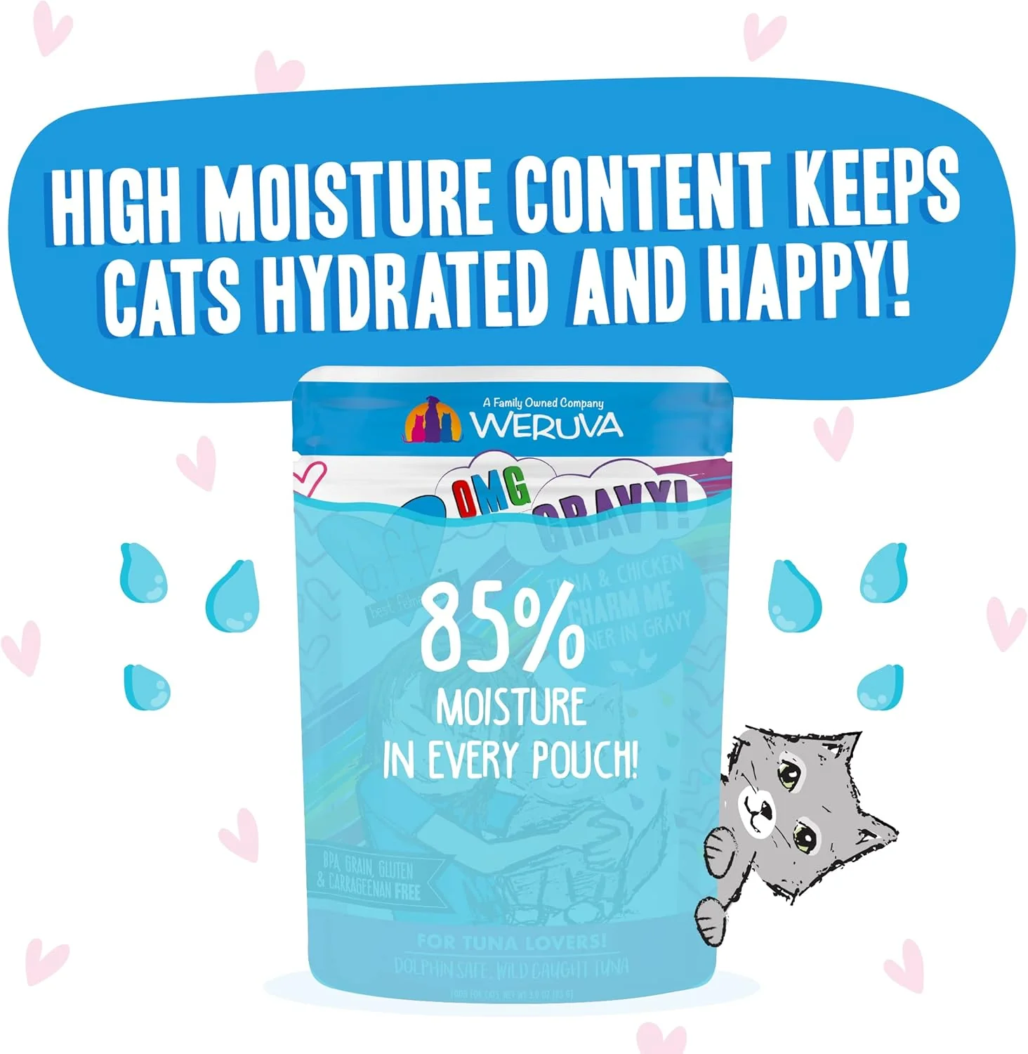 Weruva B.F.F. OMG - Best Feline Friend Oh My Gravy! Tuna & Chicken Charm Me with Tuna & Chicken in Gravy Cat Food - Image 6