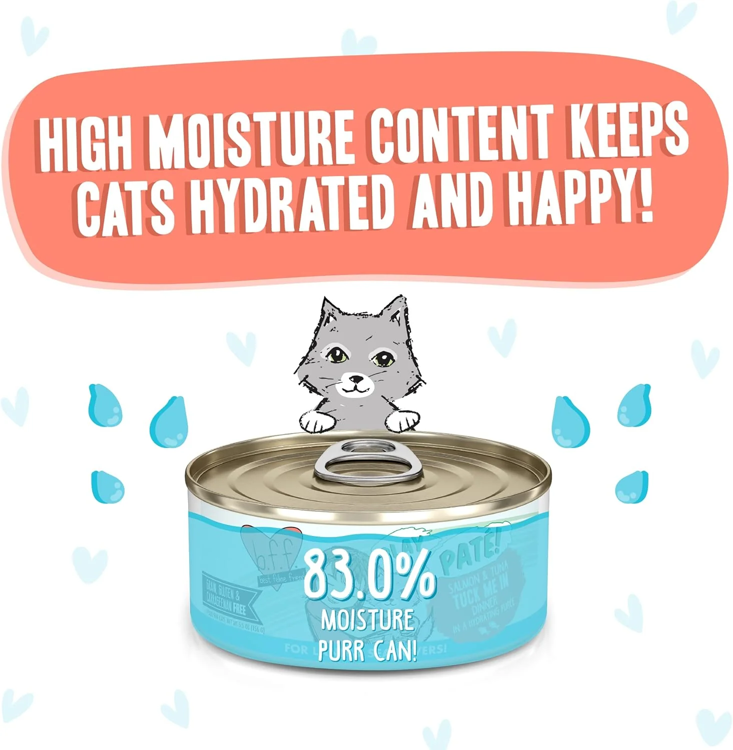 Weruva B.F.F. Play - Best Feline Friend Paté Lovers, Aw Yeah!, Salmon & Tuna Tuck Me in with Salmon & Tuna - Image 4