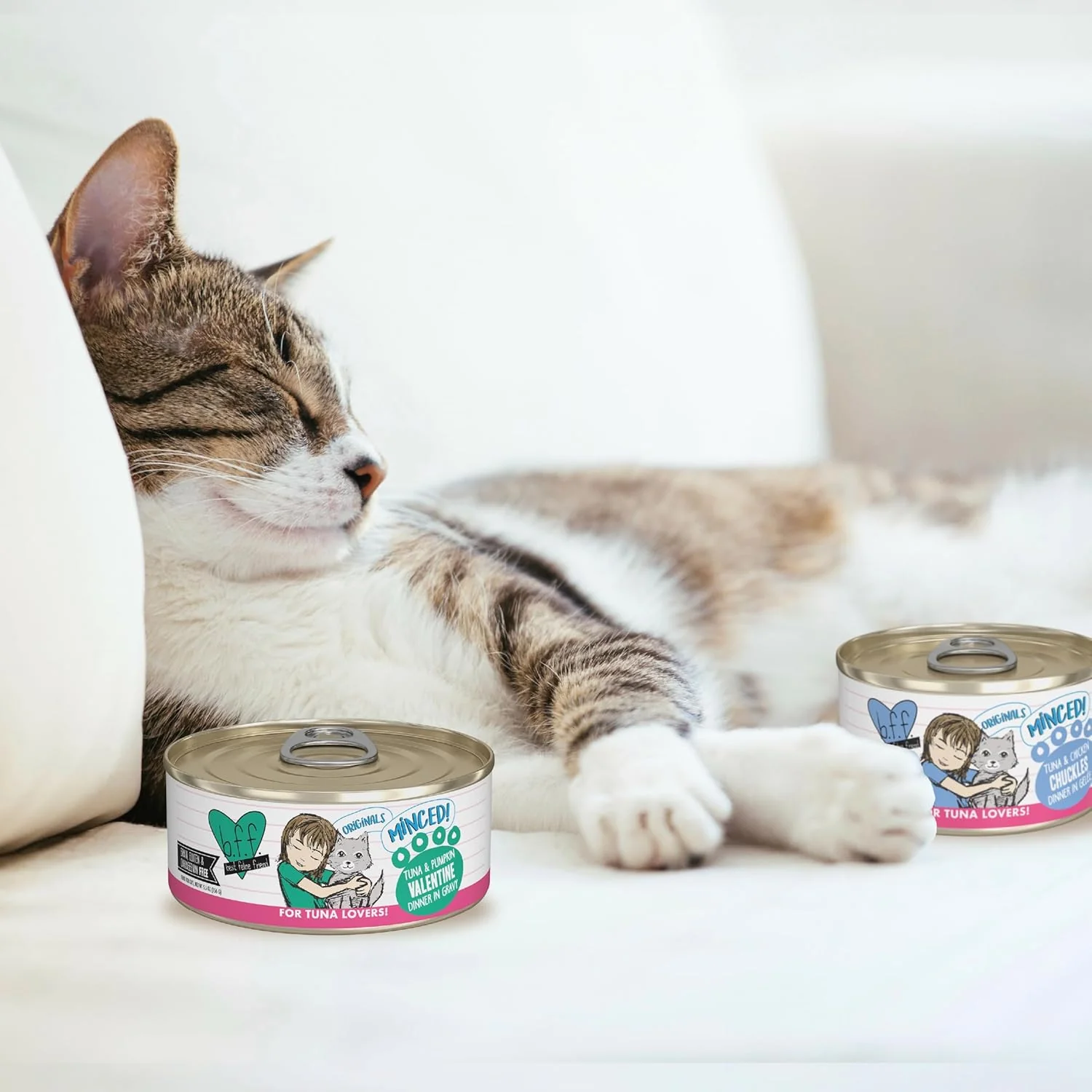 Weruva Best Feline Friend (B.F.F.) Tuna Too Cool with Red Meat Tuna in Gelee Cat Food - Image 8