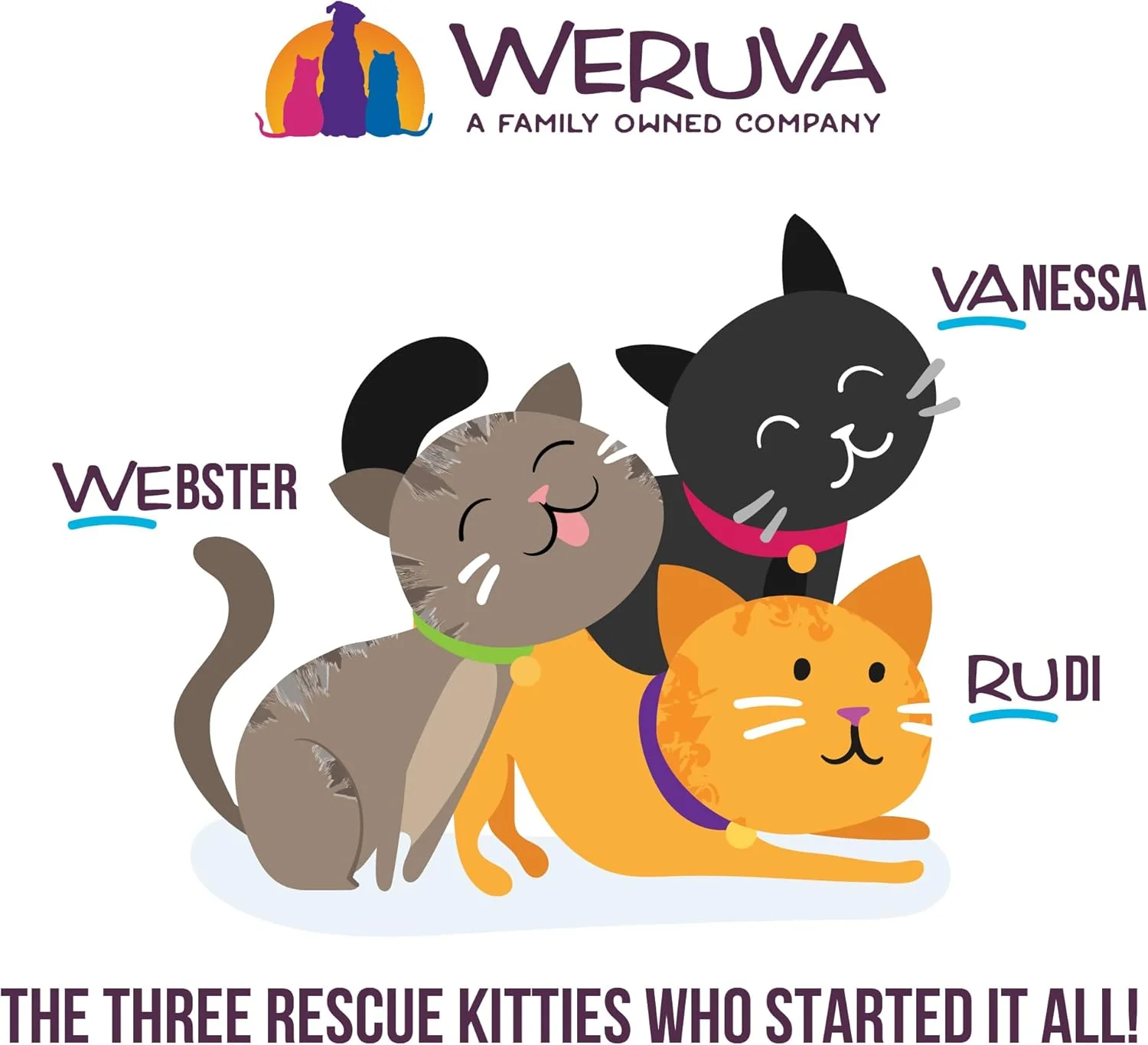 Weruva Cats in The Kitchen, Pumpkin Jack Splash with Tuna in Pumpkin Soup Cat Food - Image 9