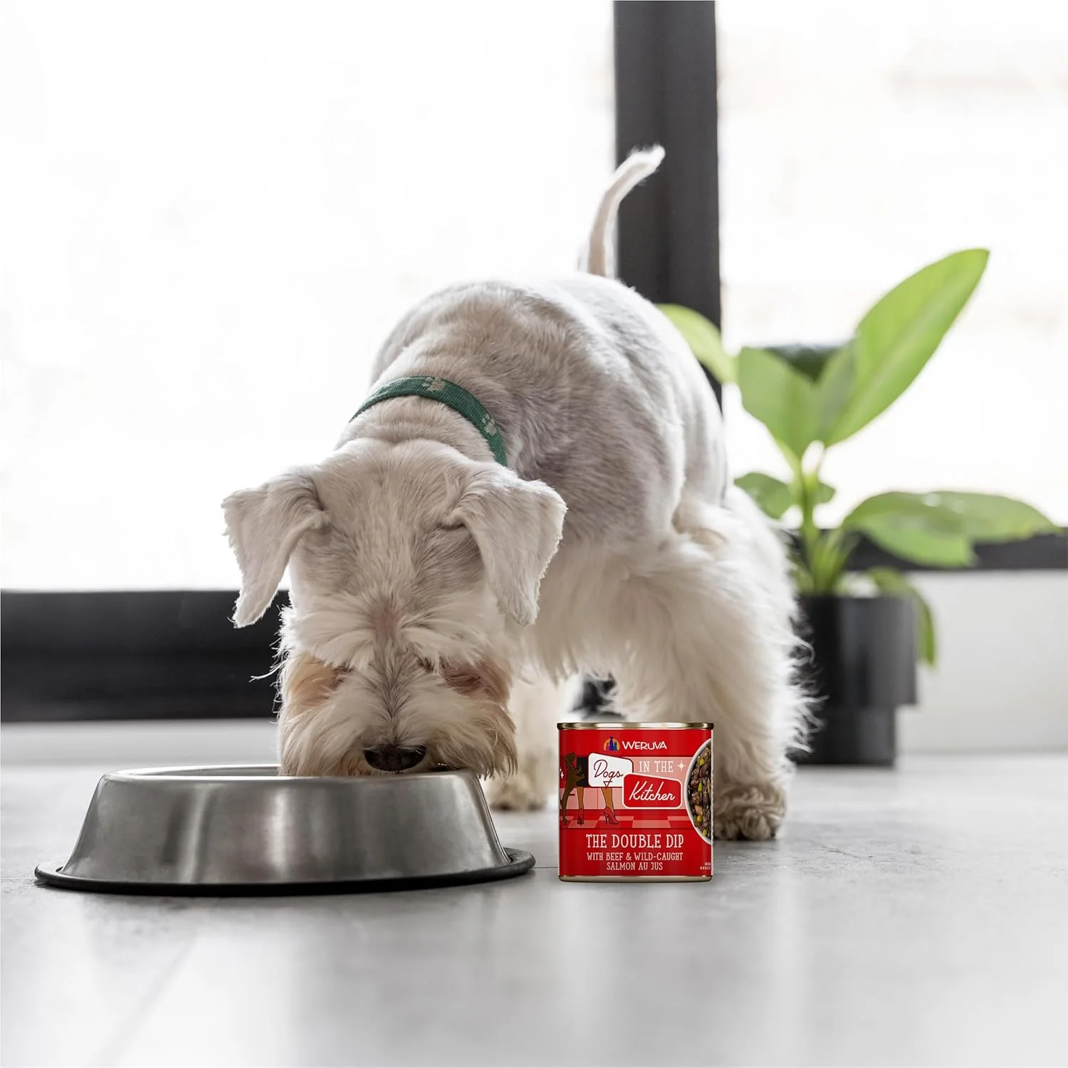 Weruva Dogs in The Kitchen, The Double Dip with Beef & Wild-Caught Salmon Au Jus Dog Food (Pack of 12) - Image 10
