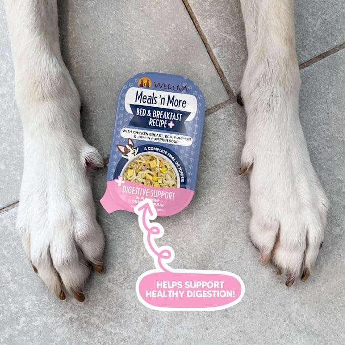 Weruva Meals 'n More Natural Wet Dog Food, Bed & Breakfast Plus Digestive Support (Pack of 12) - Image 7